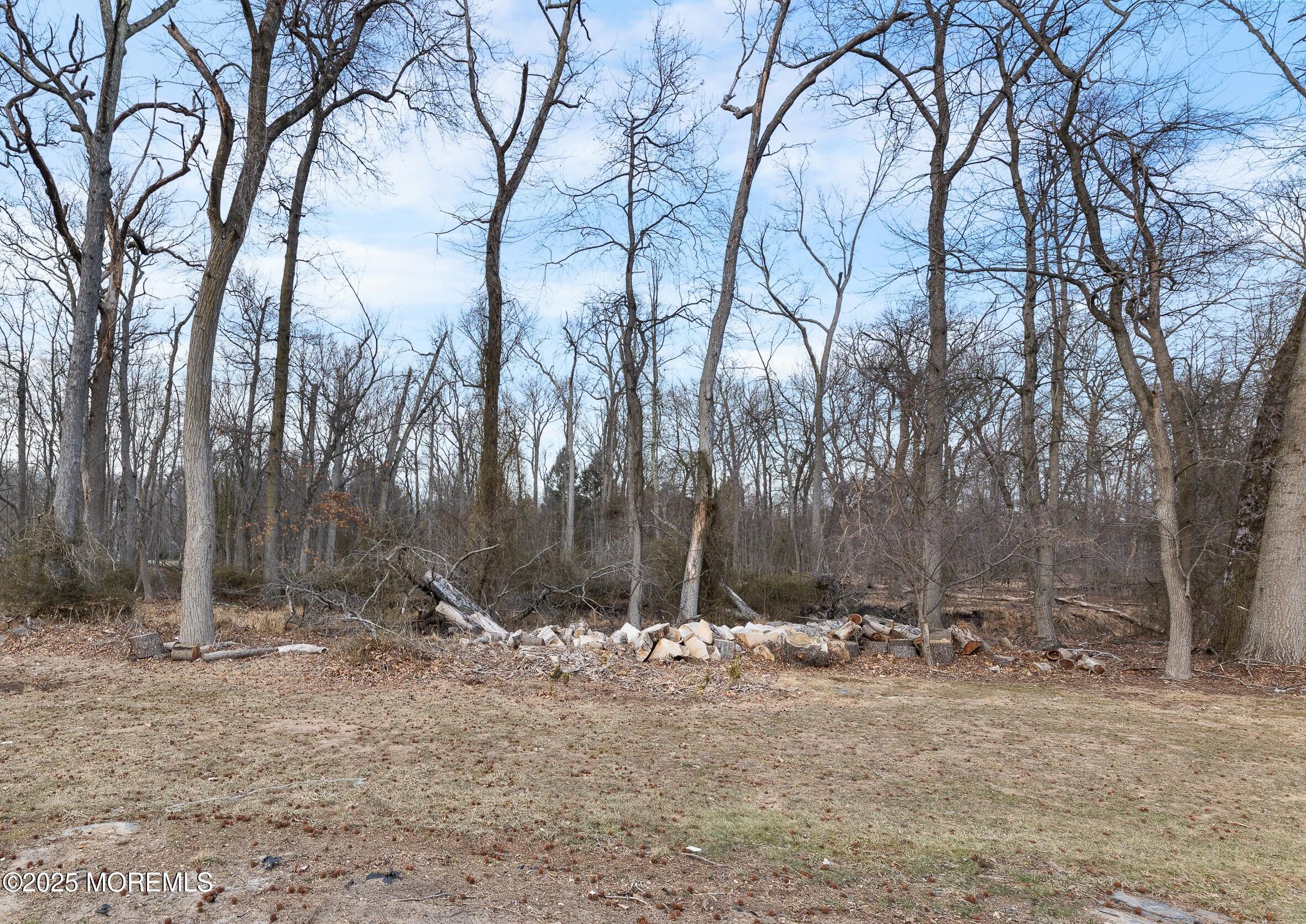 16 Longfellow Terrace, Morganville, New Jersey image 31