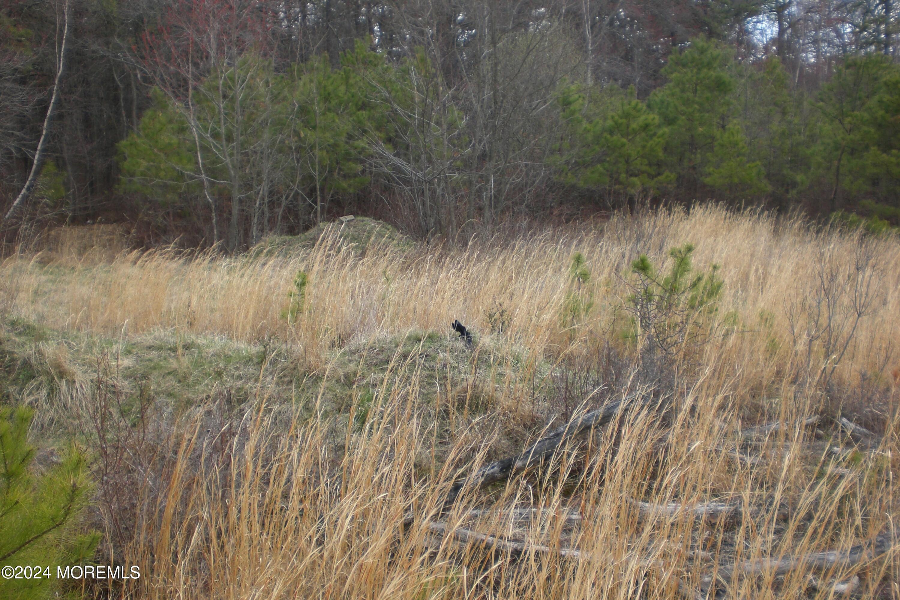 Falson Lane, Morganville, New Jersey image 3