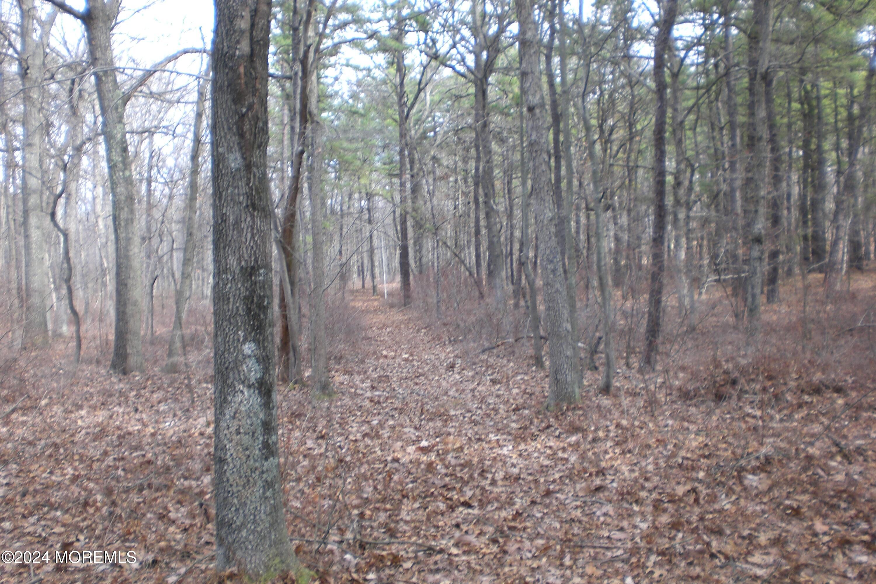 Falson Lane, Morganville, New Jersey image 4