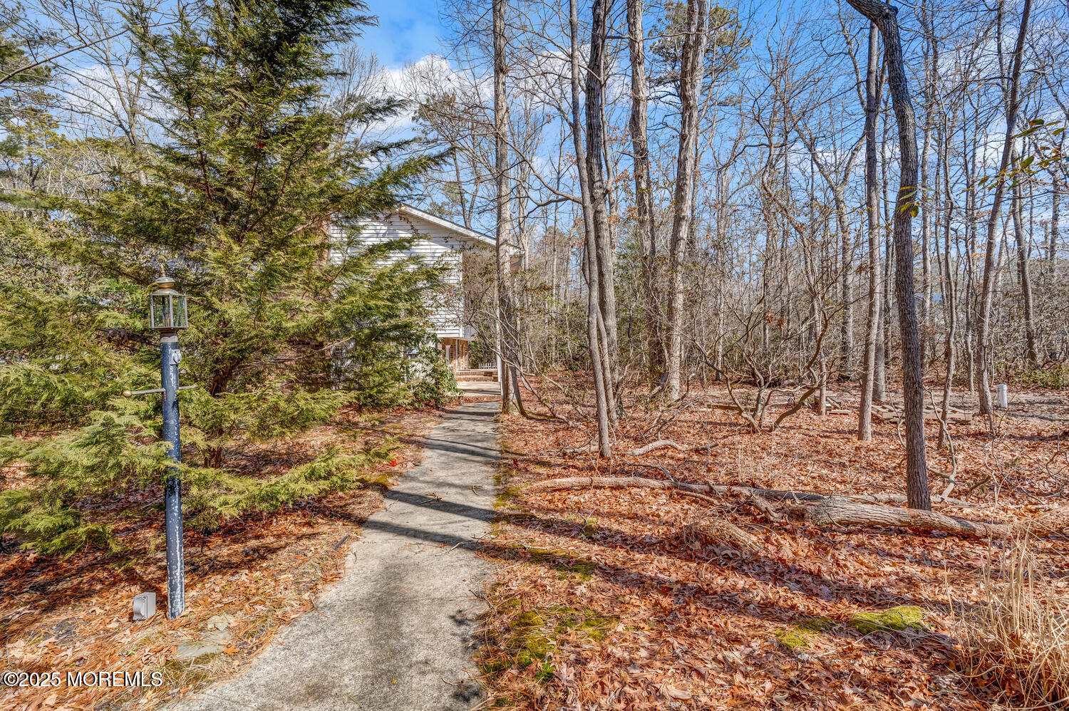220 Otis Bog Road, Little Egg Harbor, New Jersey image 5