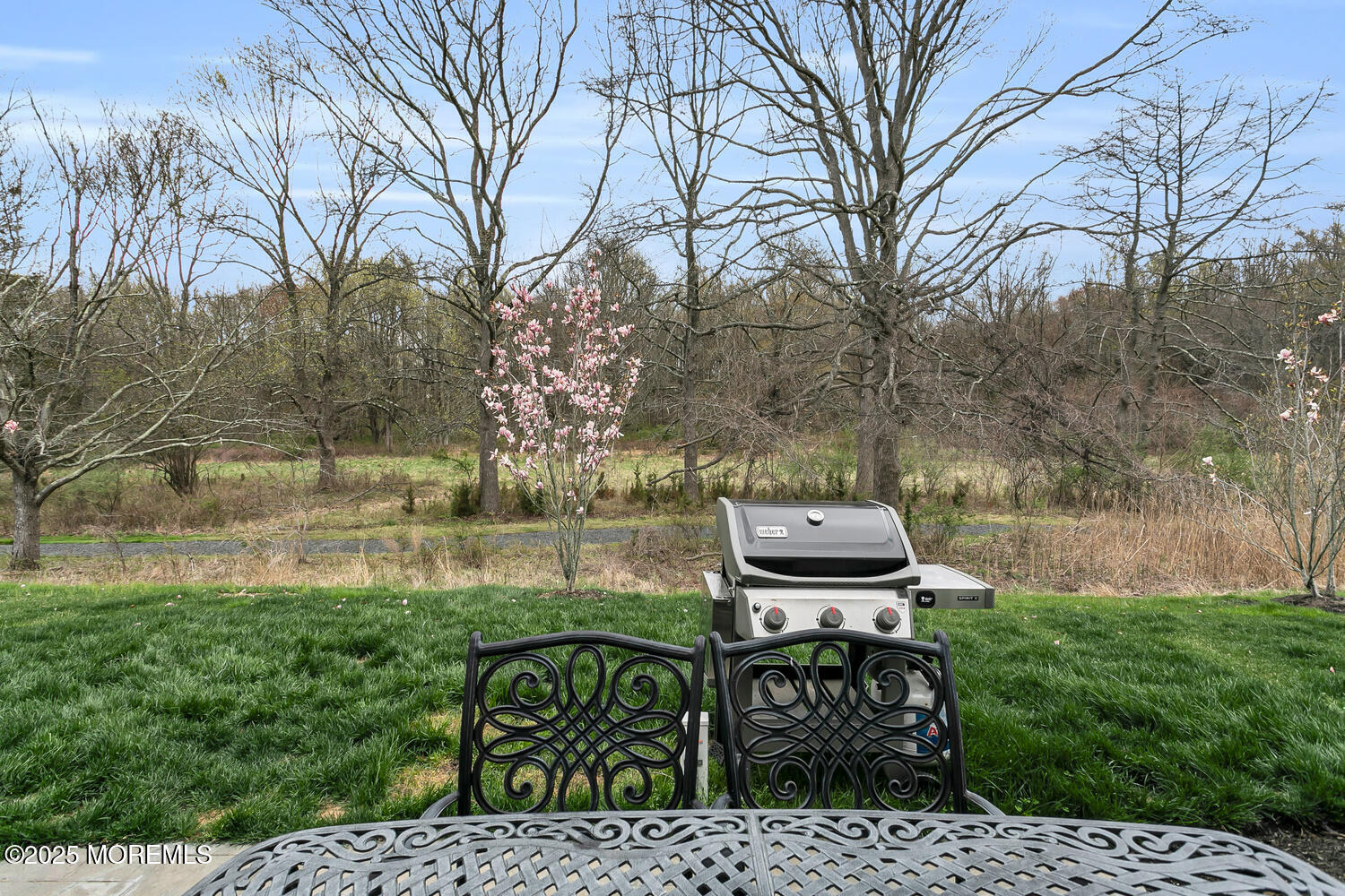 91 Lawley Drive, Lincroft, New Jersey image 33