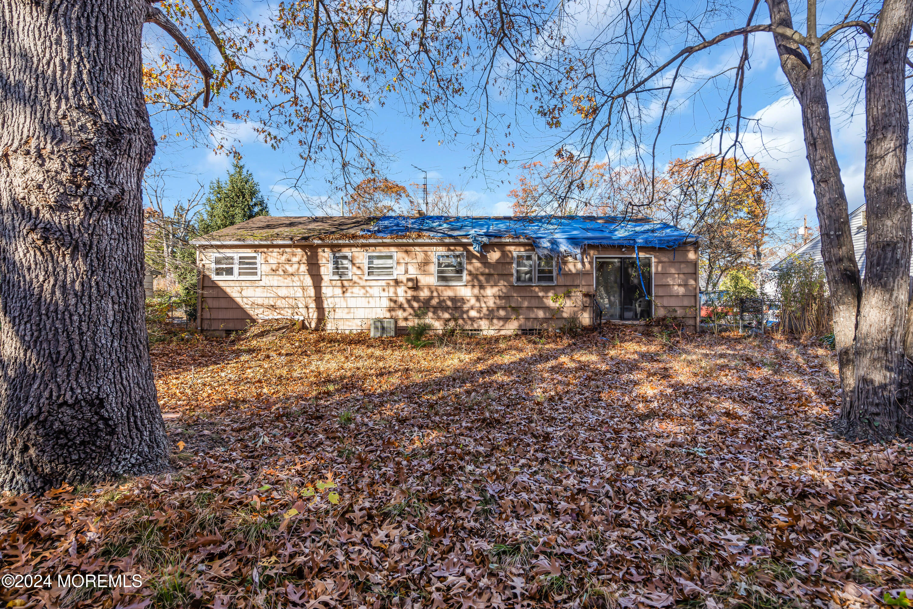 126 14th Street, Lakewood, New Jersey image 5