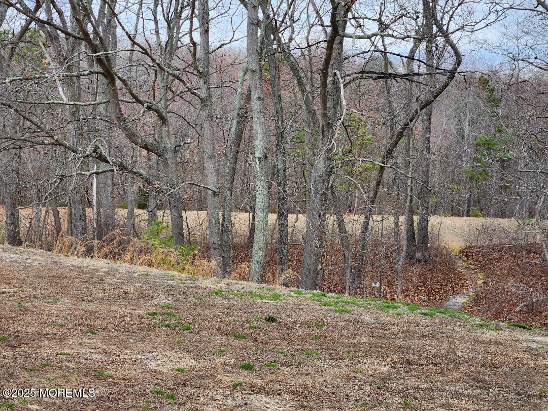 104 Violet Lane, Jackson, New Jersey image 19