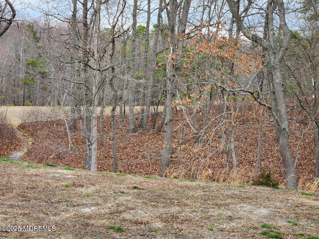 104 Violet Lane, Jackson, New Jersey image 21