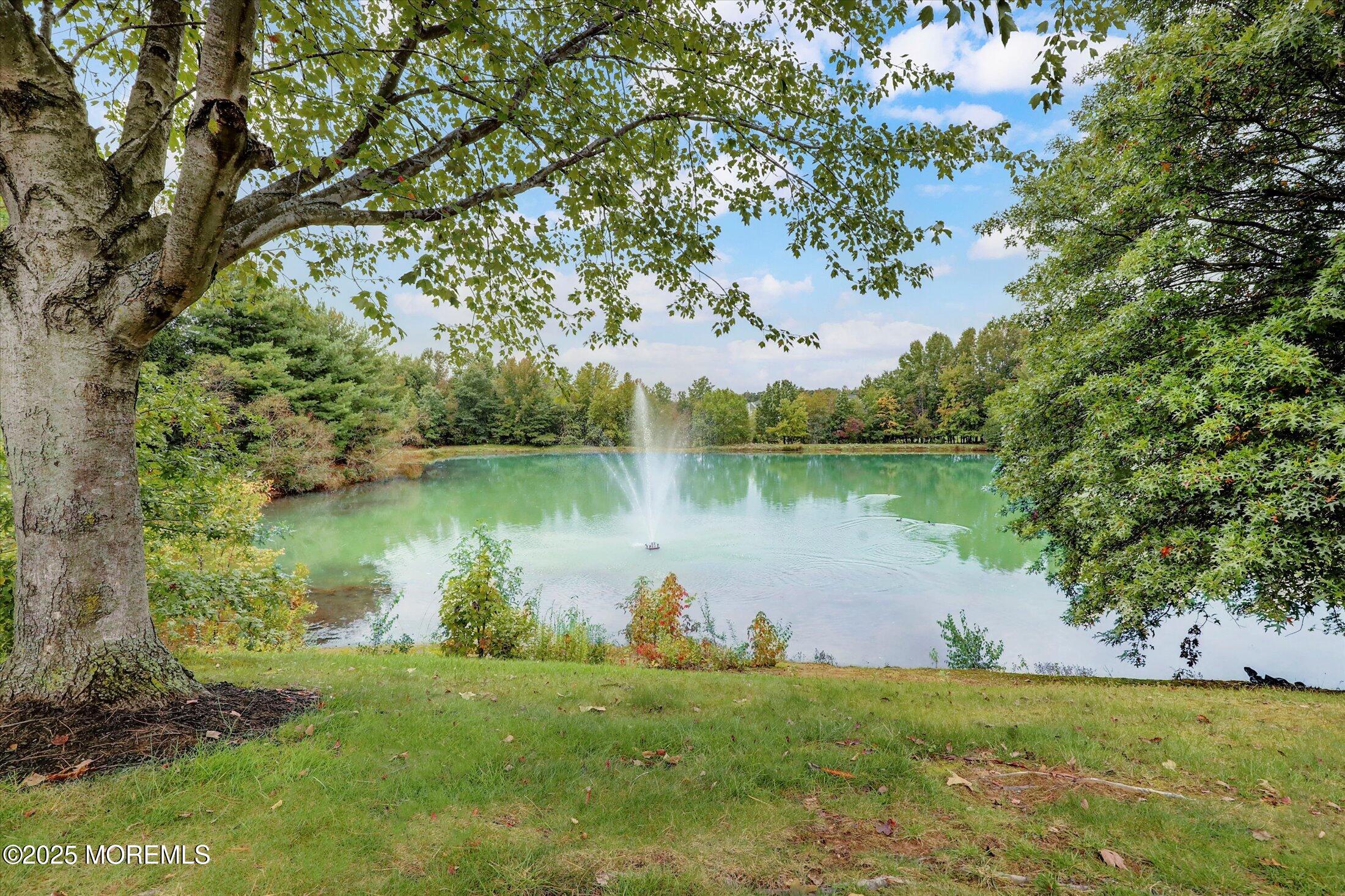 199 Nathan Drive, Morganville, New Jersey image 35