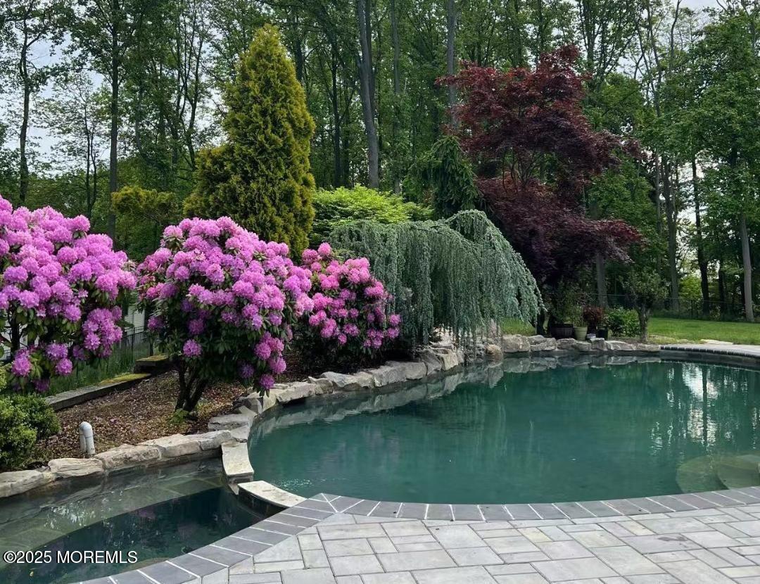 818 Holmdel Road #B, Holmdel, New Jersey image 47
