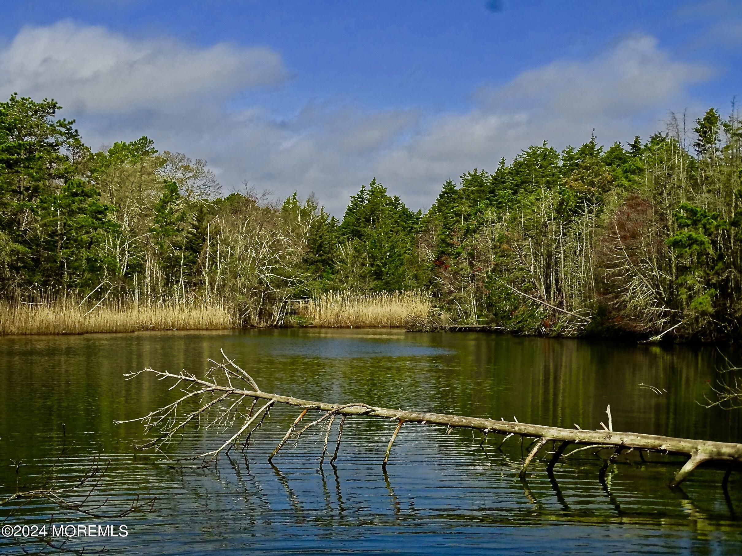 820 Elwood Street, Forked River, New Jersey image 39