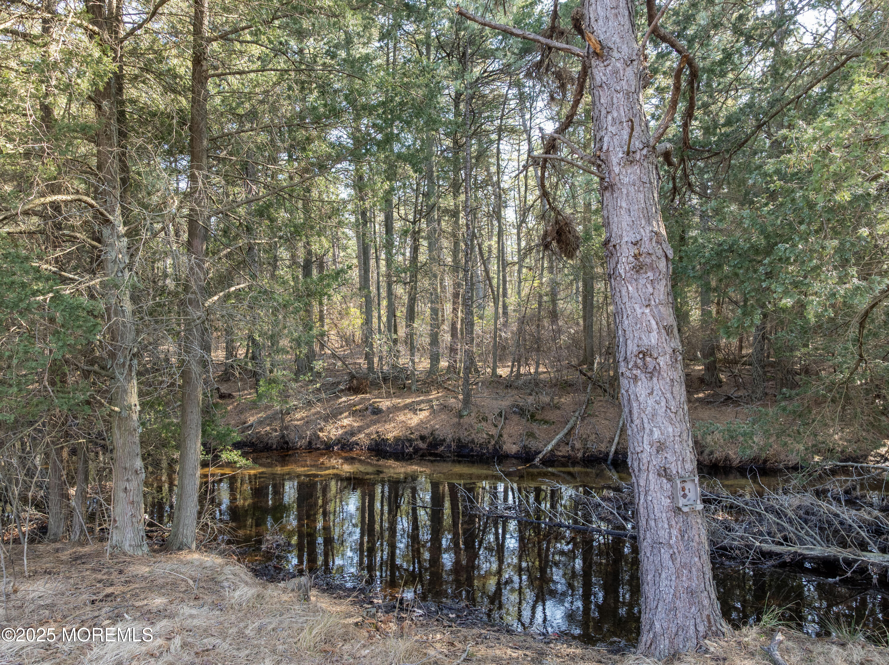 189 Westbrook Drive, Toms River, New Jersey image 19