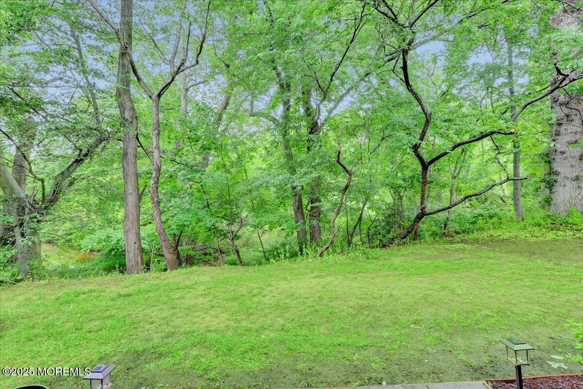 5-3 Portland Court, Freehold, New Jersey image 23