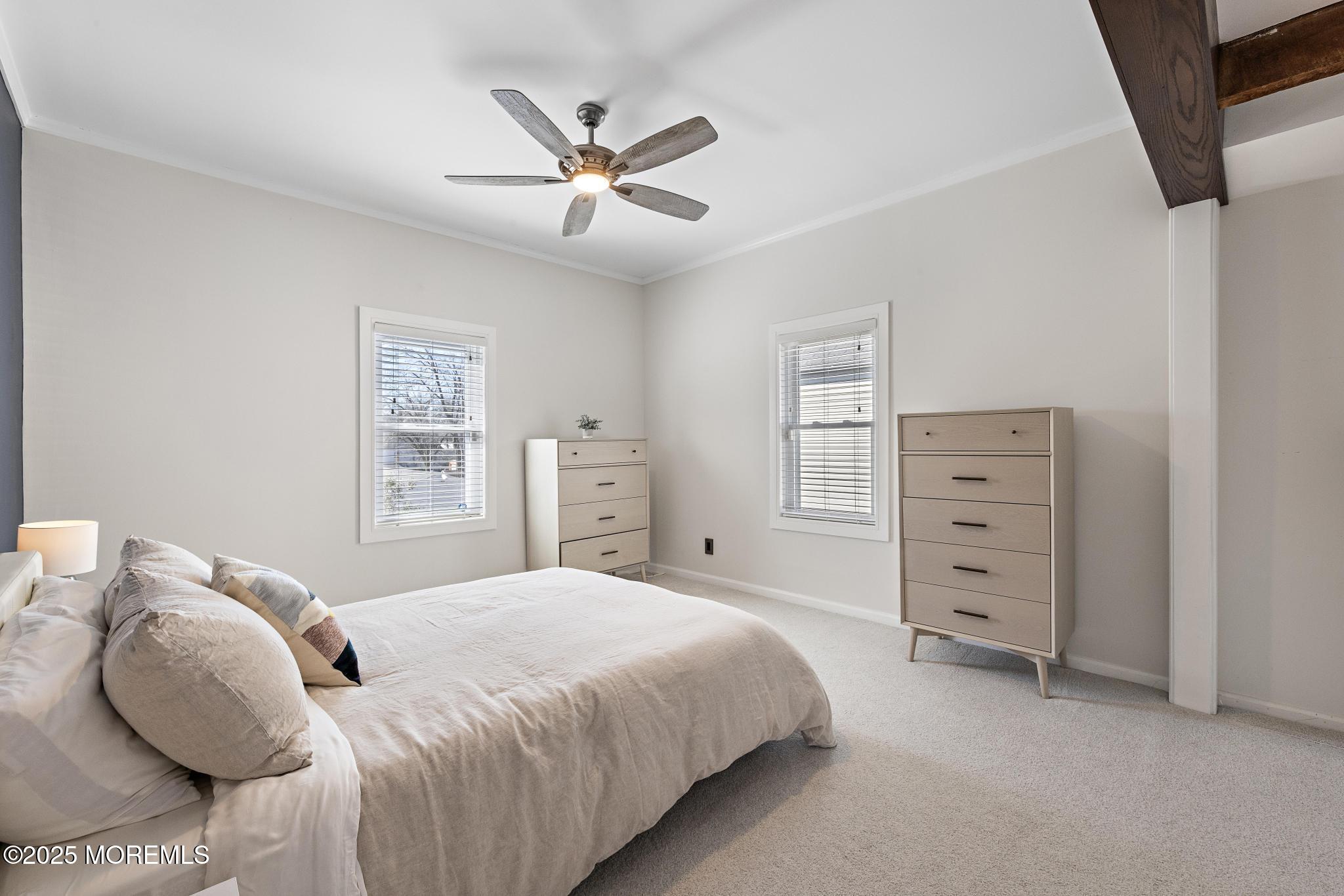 115 Catherine Street, Red Bank, New Jersey image 30