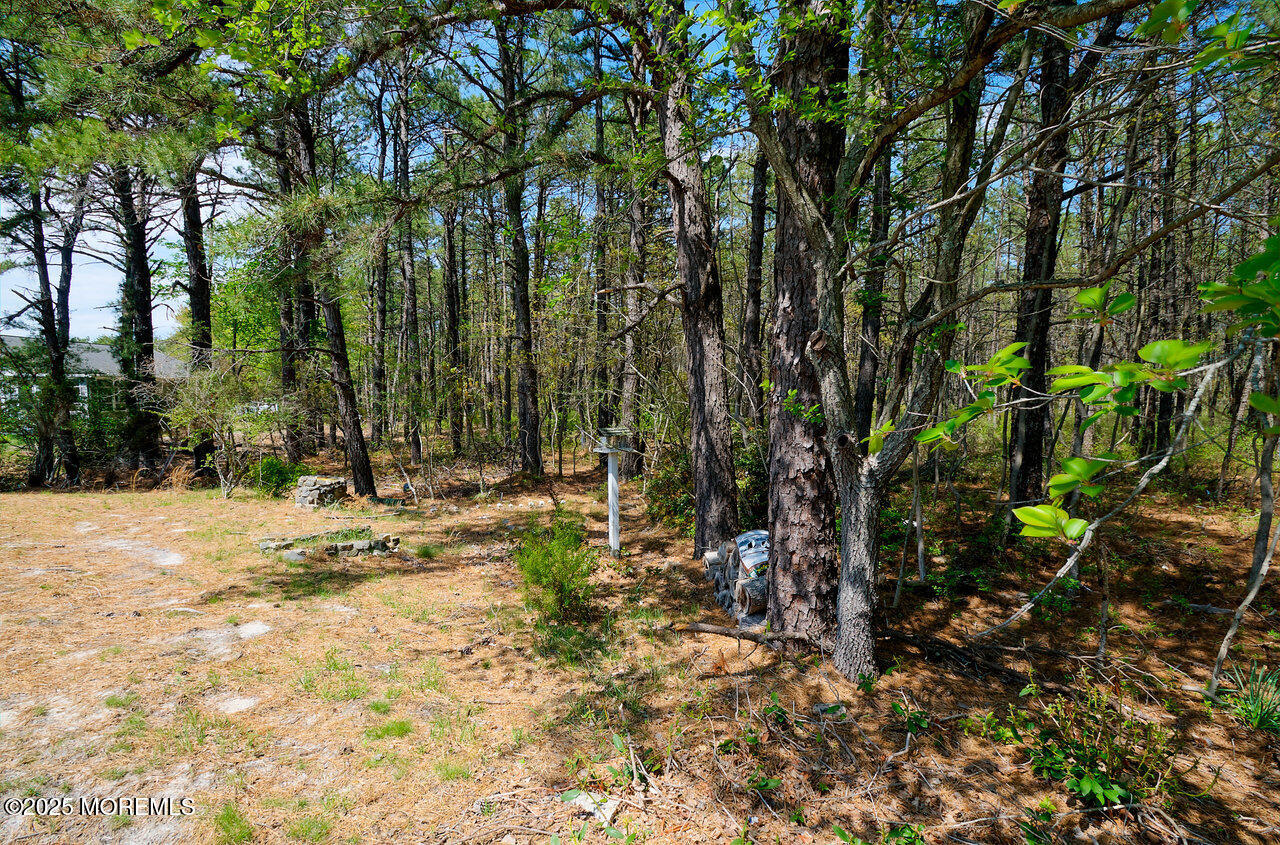 52 Normanton Court, Toms River, New Jersey image 4