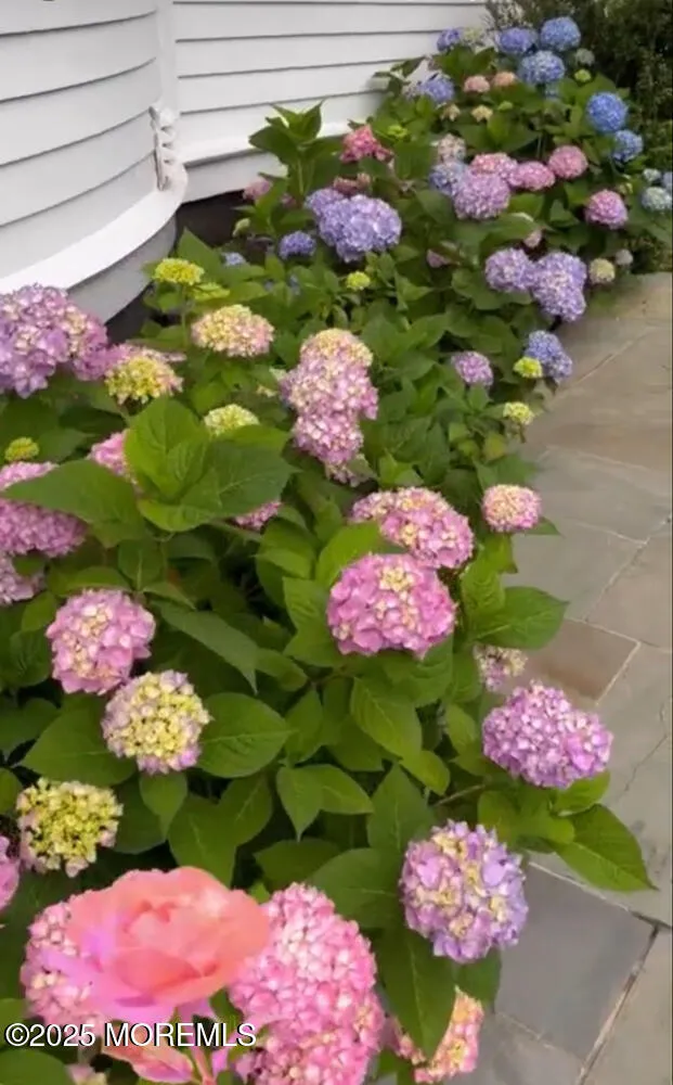 Little Silver, New Jersey 07739, United States, 5 Bedrooms Bedrooms, ,4 BathroomsBathrooms,Residential,Pending,80068