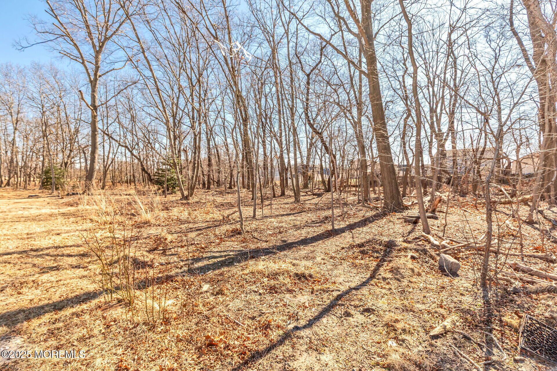 00 Bauer Avenue, Hazlet, New Jersey image 6