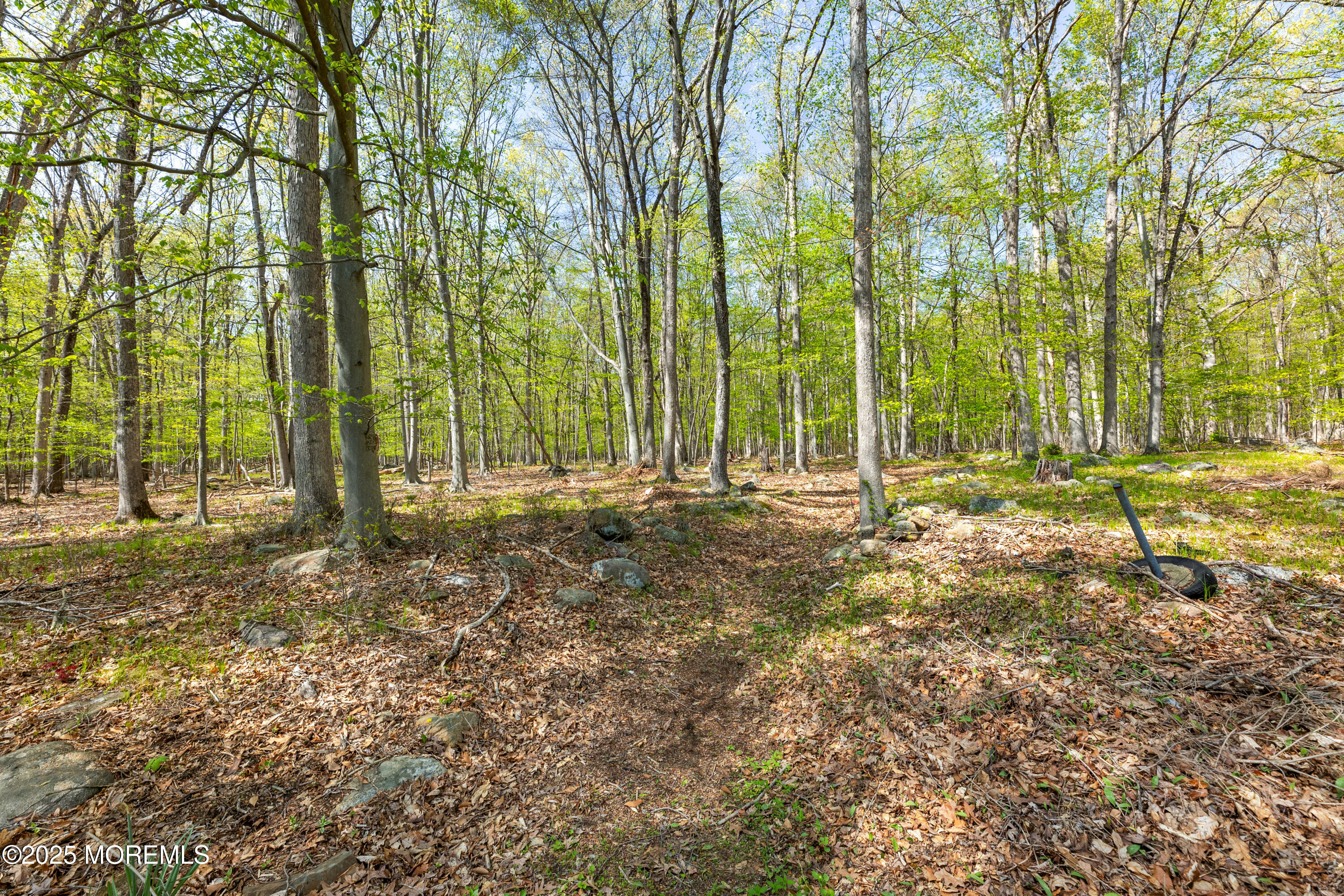 19 Oak Road, Boonton, New Jersey image 28