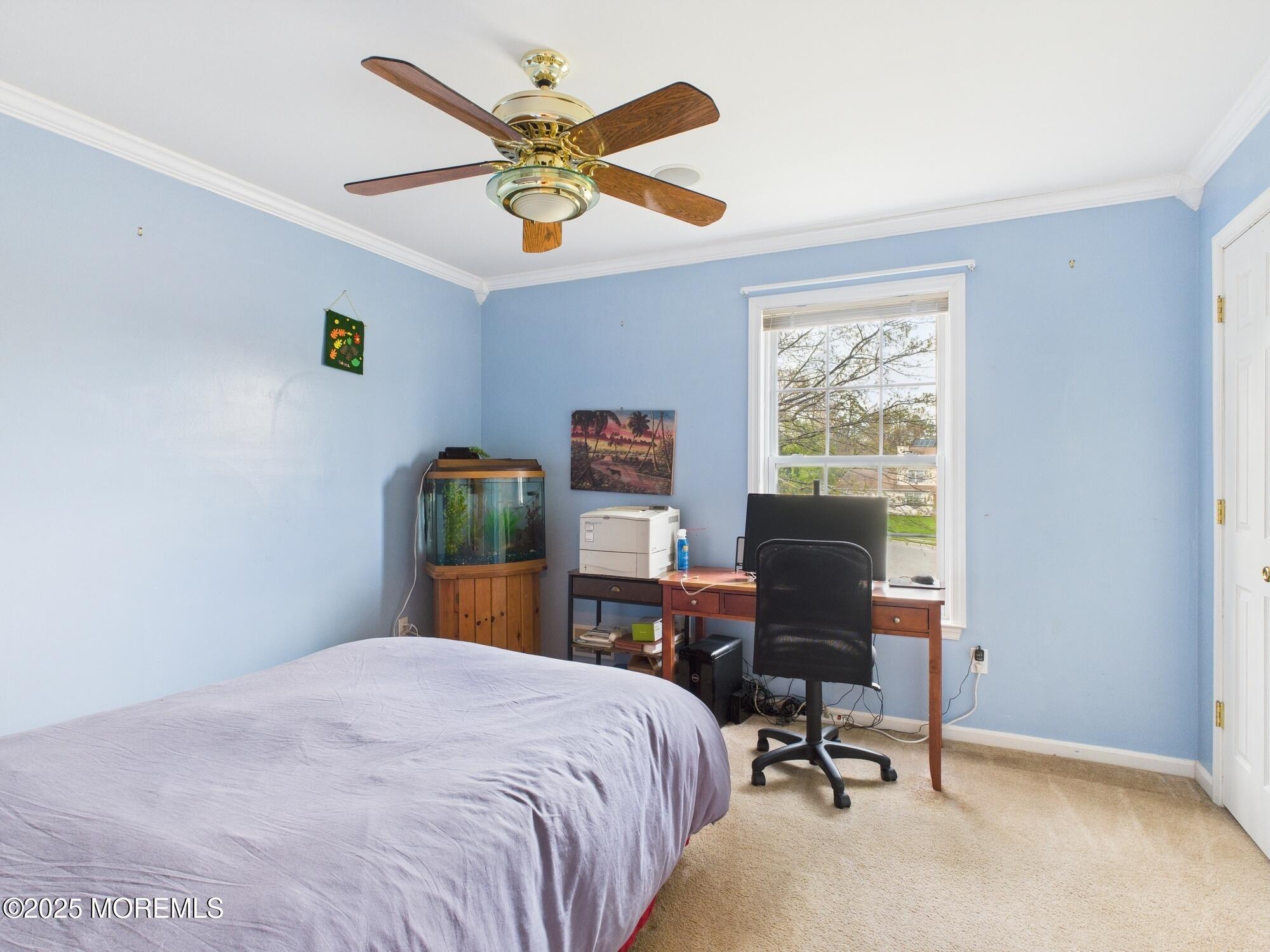 6 Katie Court, Lakewood, New Jersey image 22