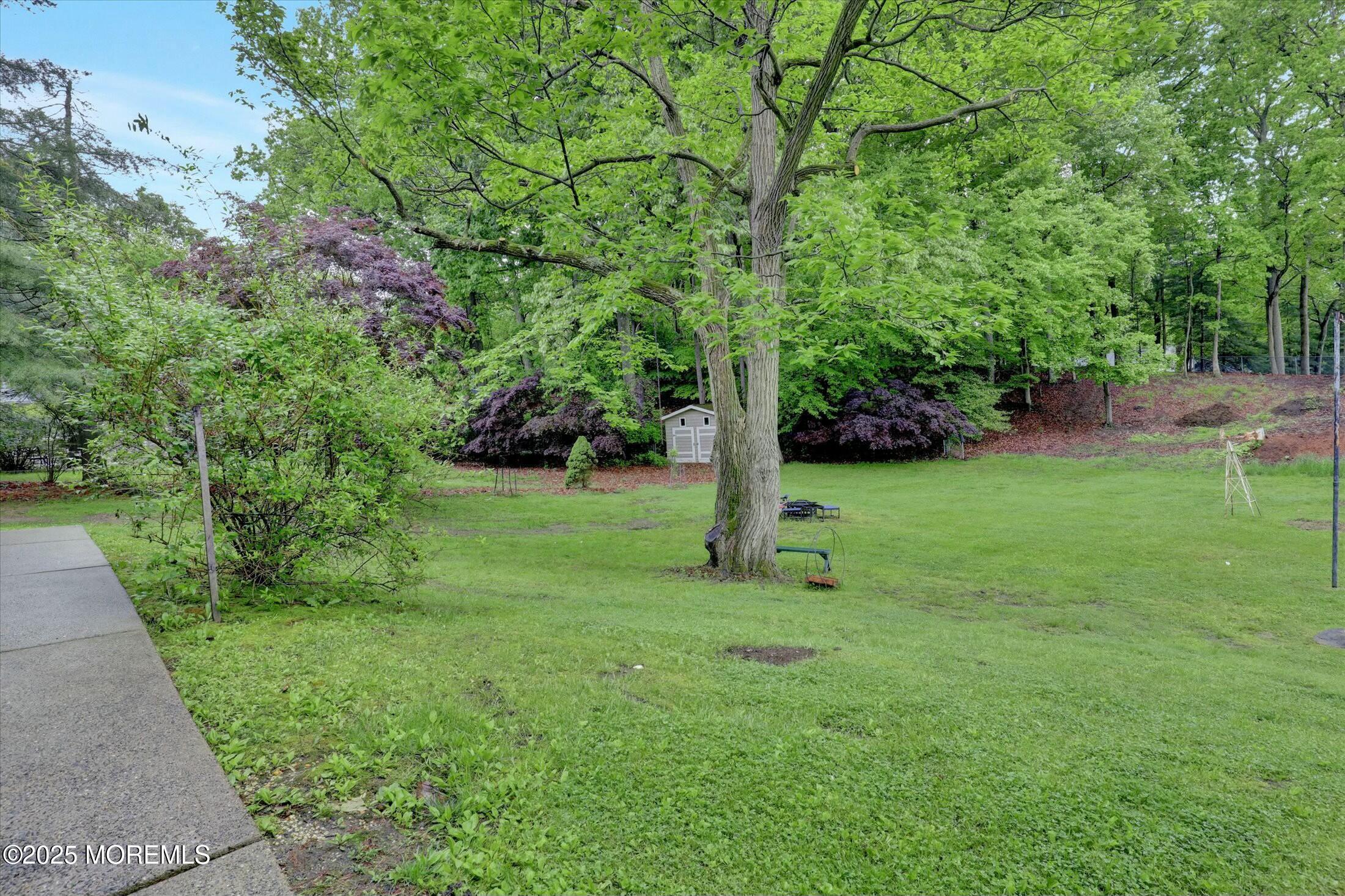 4 June Place, Aberdeen, New Jersey image 36