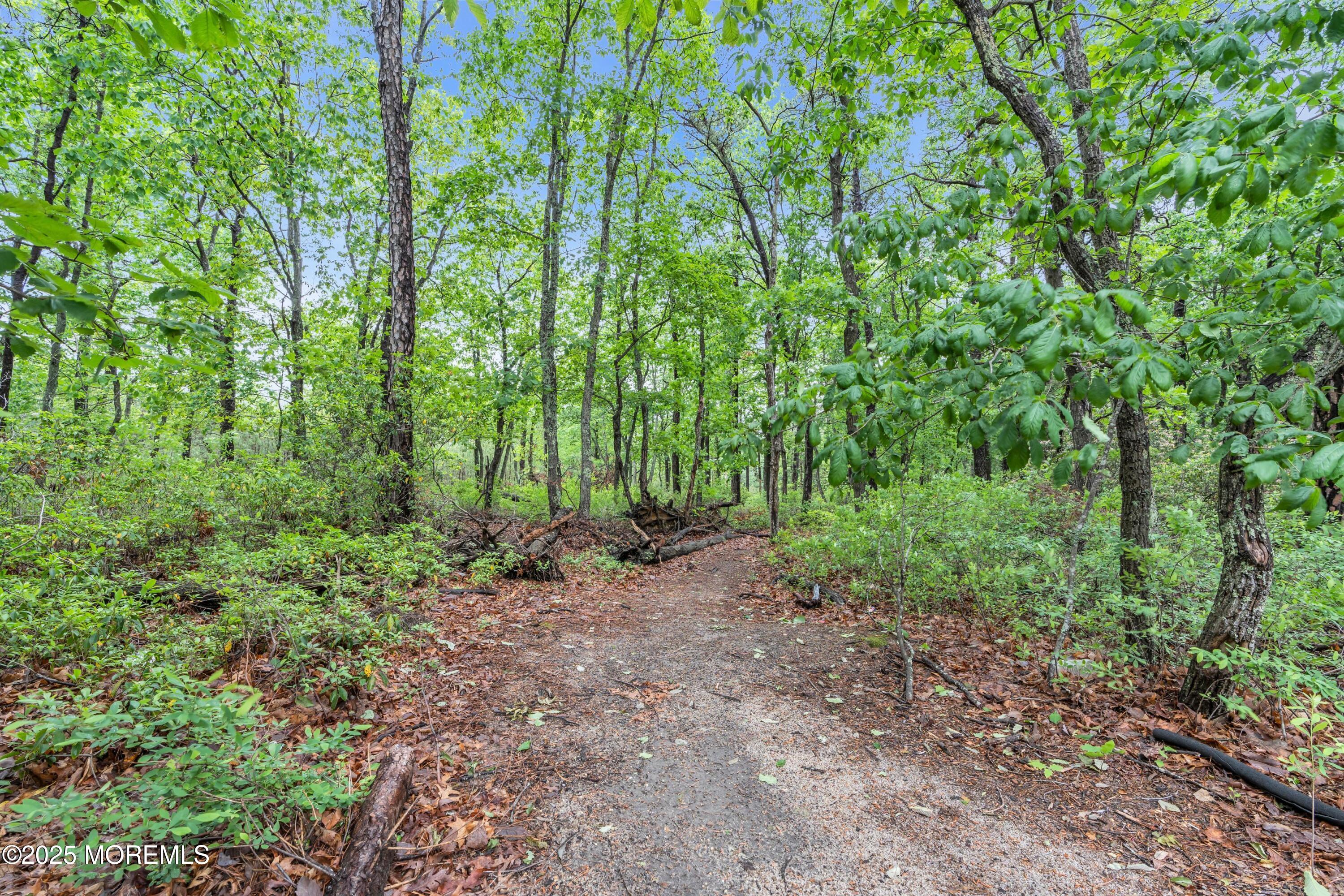 62 Stamford Hill Road, Lakewood, New Jersey image 44