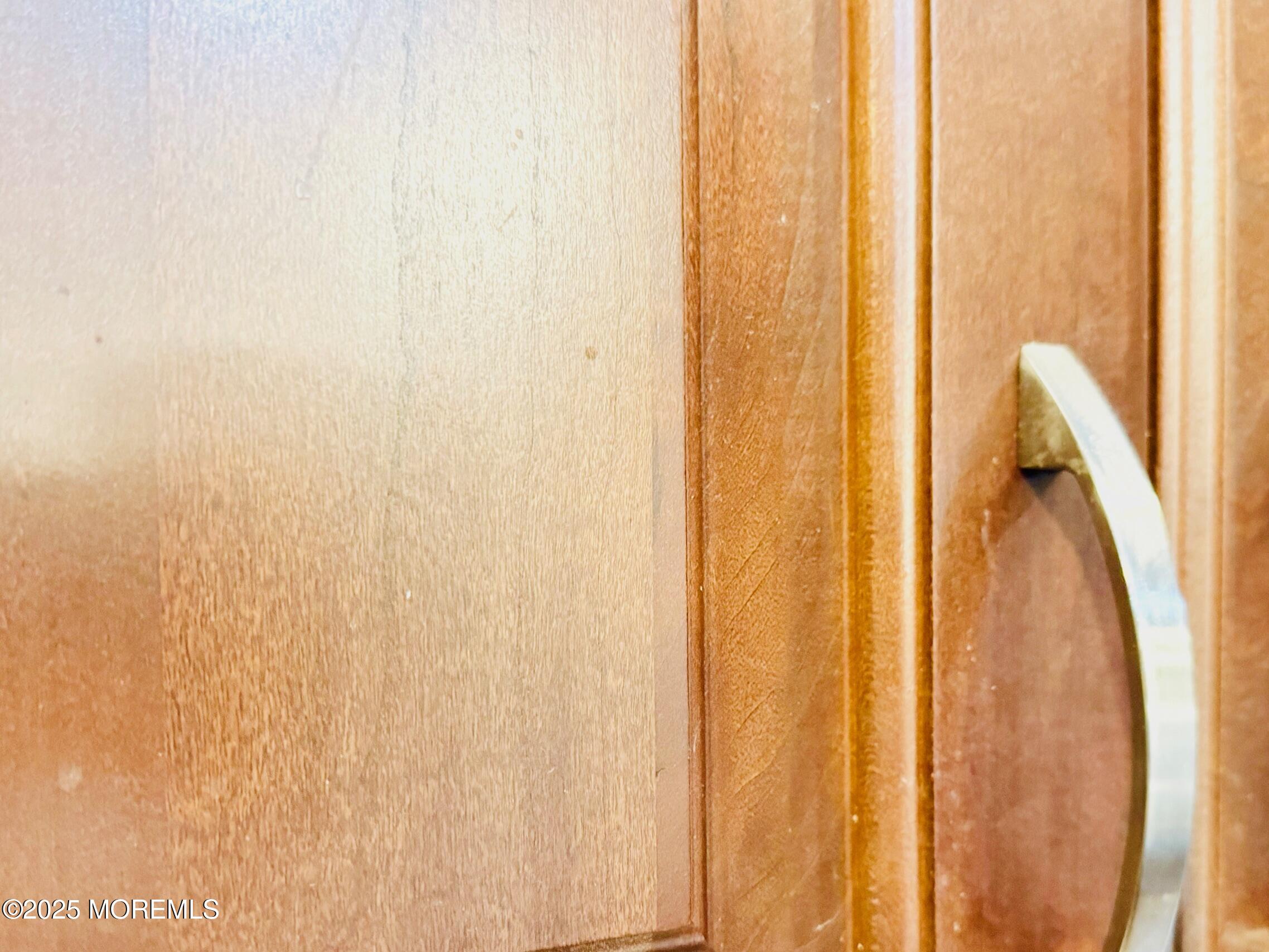9 Shupin Street, Spotswood, New Jersey image 13