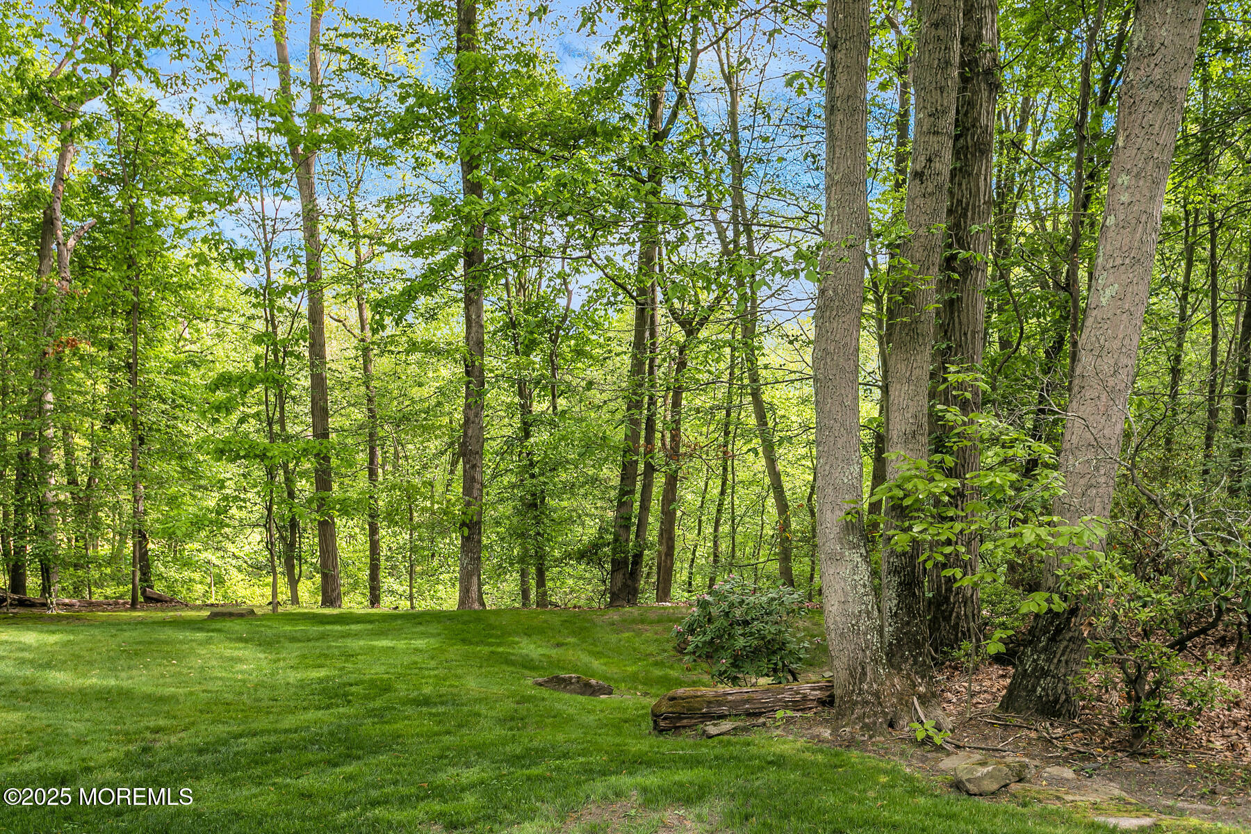 112 Deer Path Lane, Freehold, New Jersey image 4