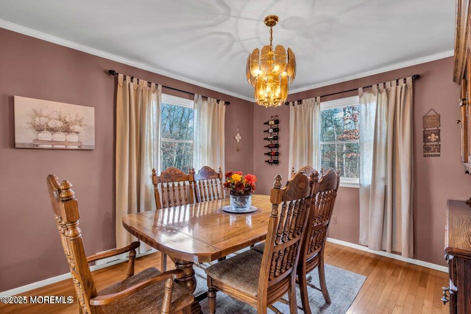 301 Clearstream Road, Jackson, New Jersey image 13