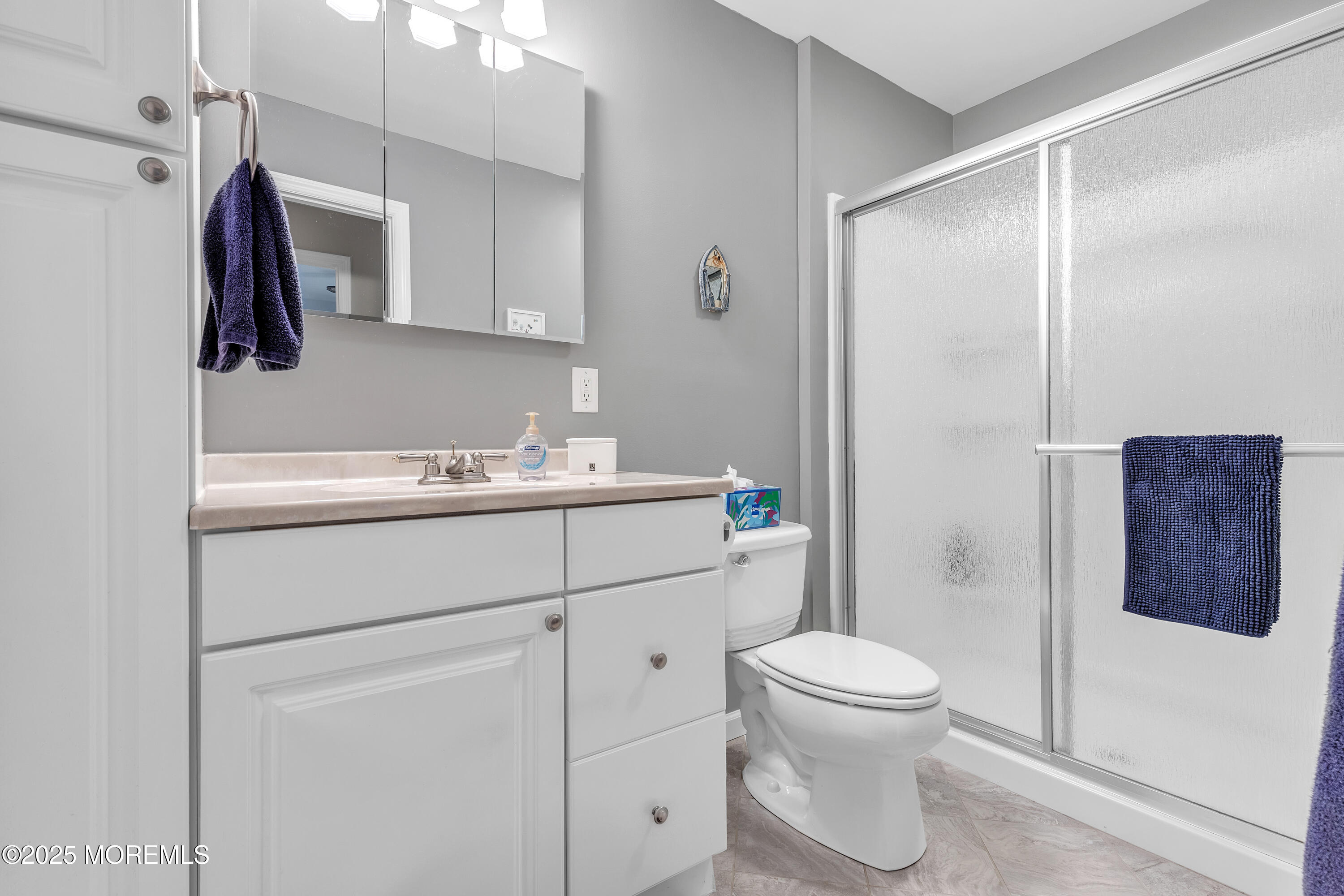 46 Dover Walk #446, Toms River, New Jersey image 15