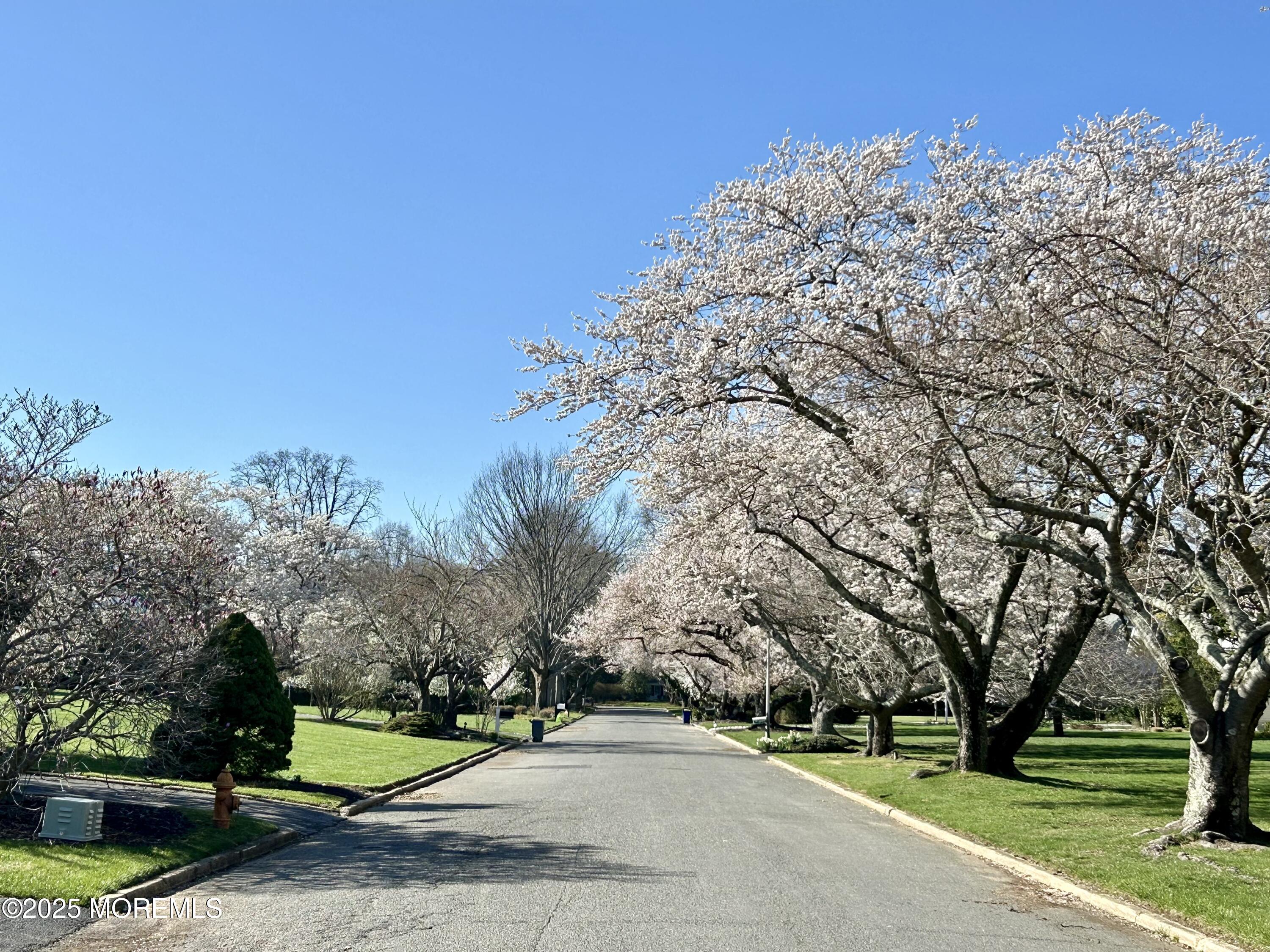8 Woods End Road, Rumson, New Jersey image 26