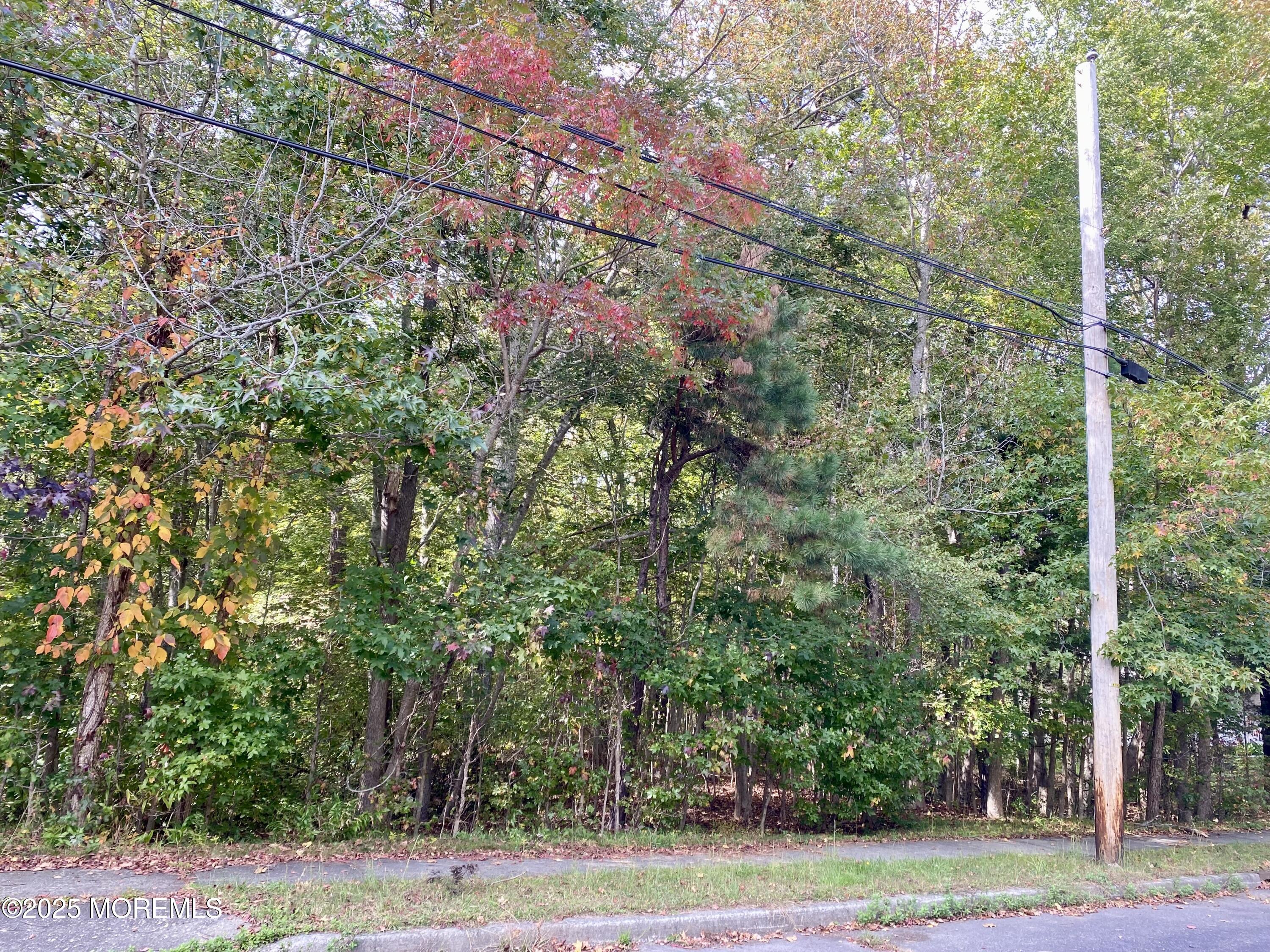wooded lot