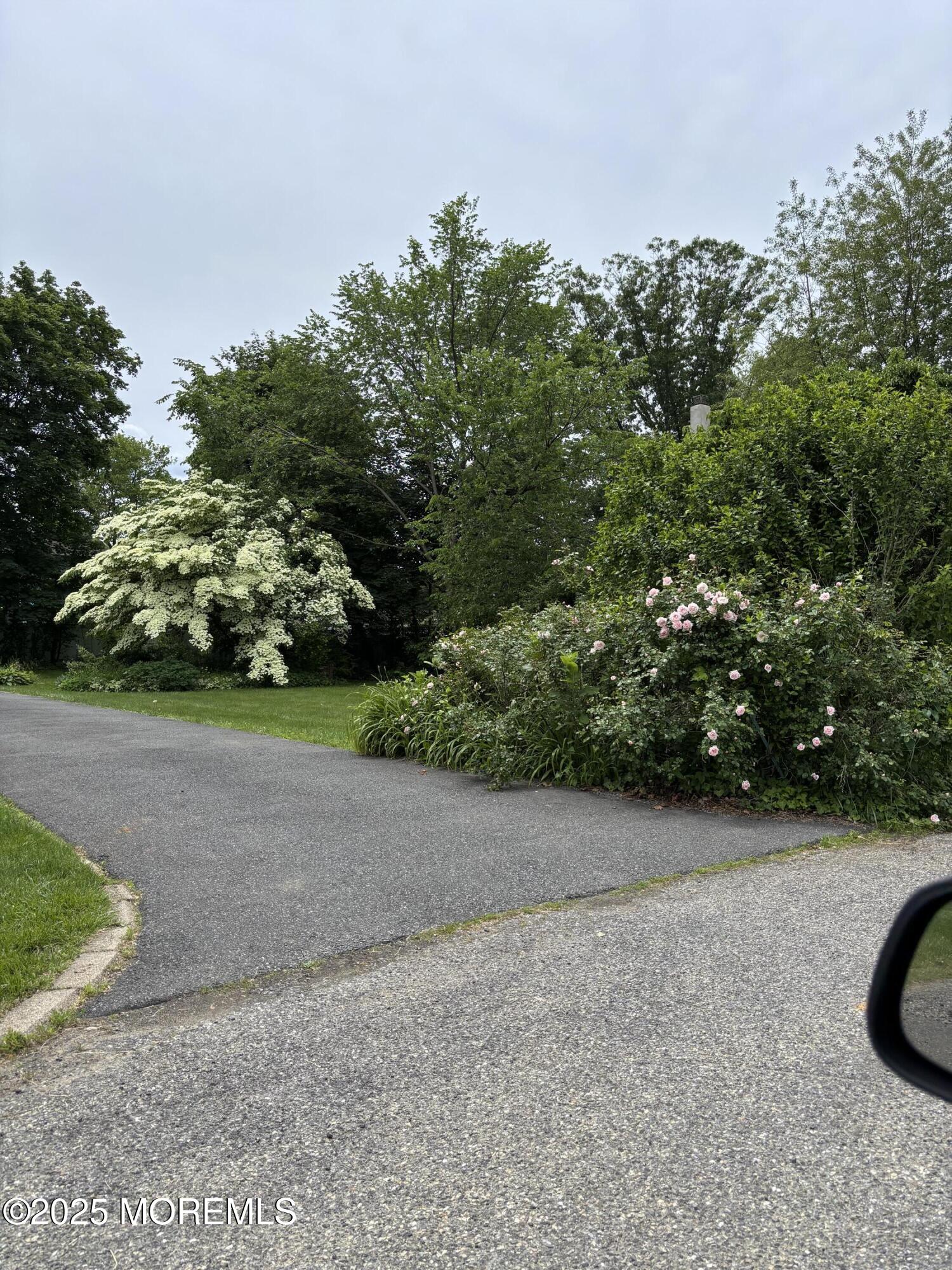 21 Alexander Avenue, Freehold, New Jersey image 2