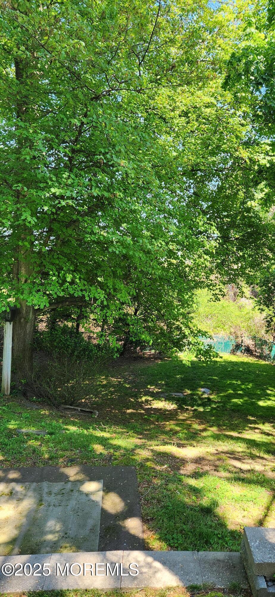 294 Parkview Terrace, Lincroft, New Jersey image 23