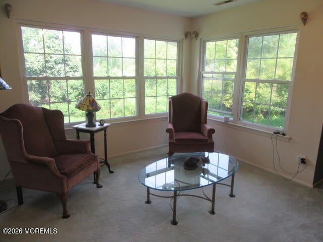 64 Arrowwood Court