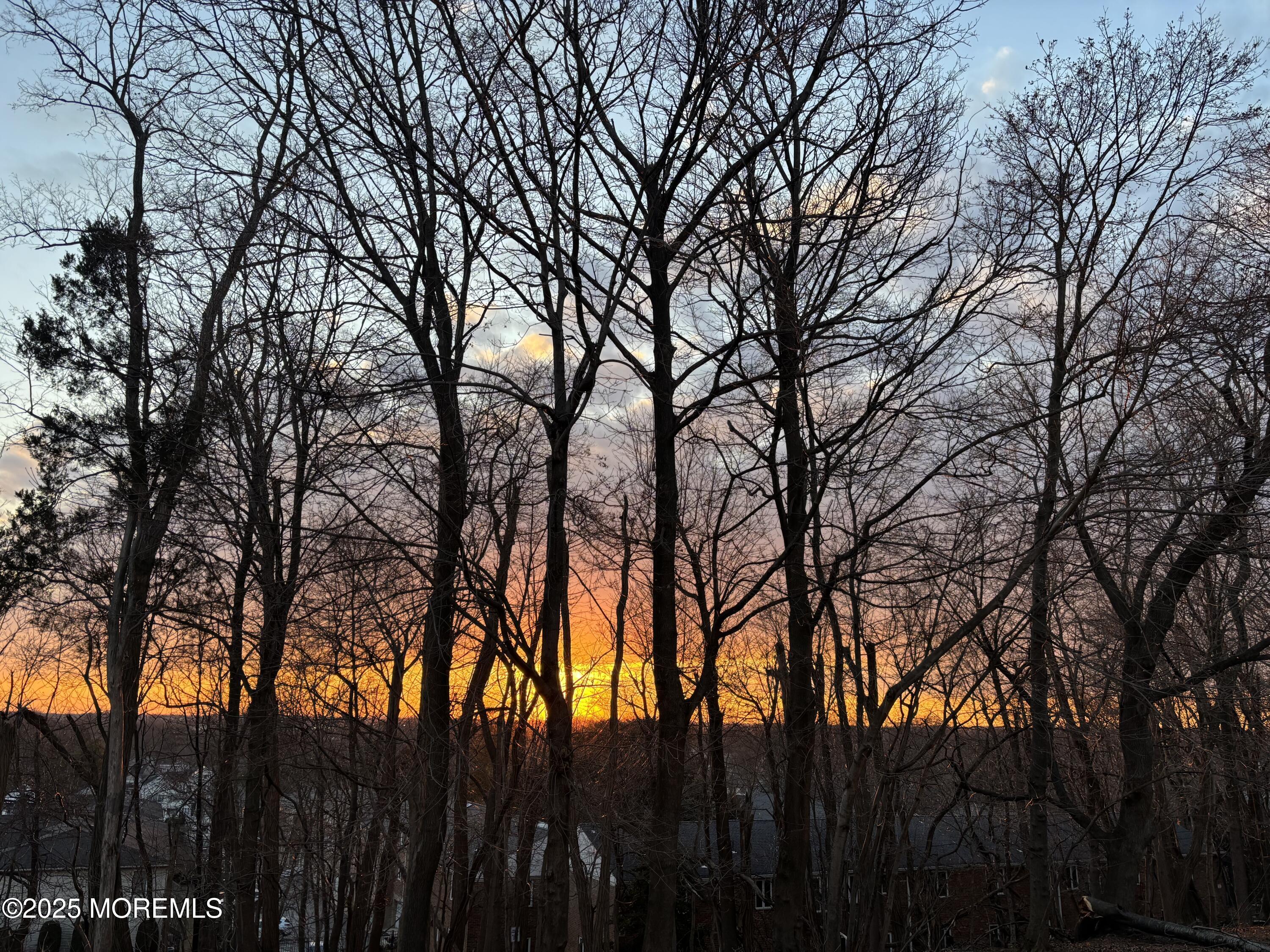 52 Ambassador Drive, Red Bank, New Jersey image 42