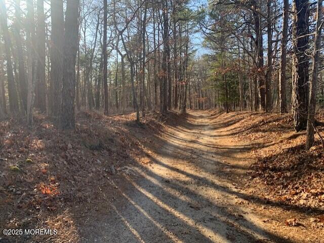 Stone Road, West Creek, New Jersey image 5