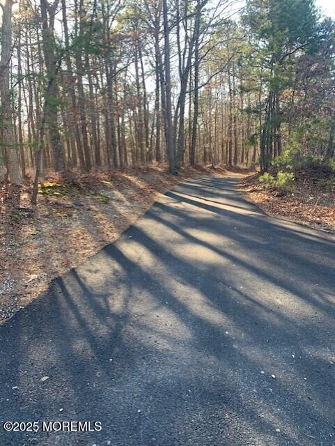 Stone Road, West Creek, New Jersey image 3