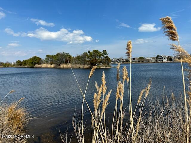 104 Osborne Avenue, Bay Head, New Jersey image 4