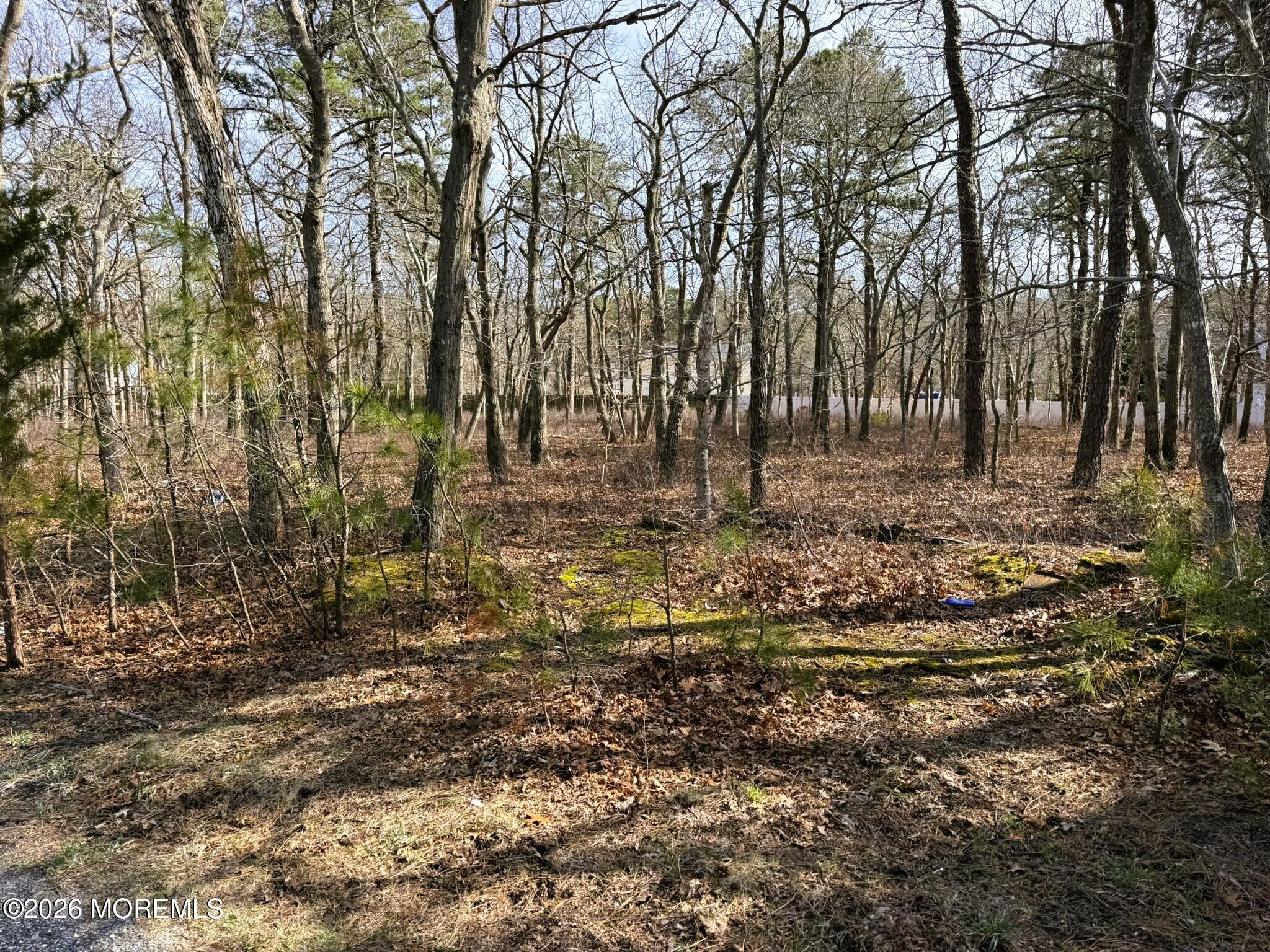 18 Pinewood Drive