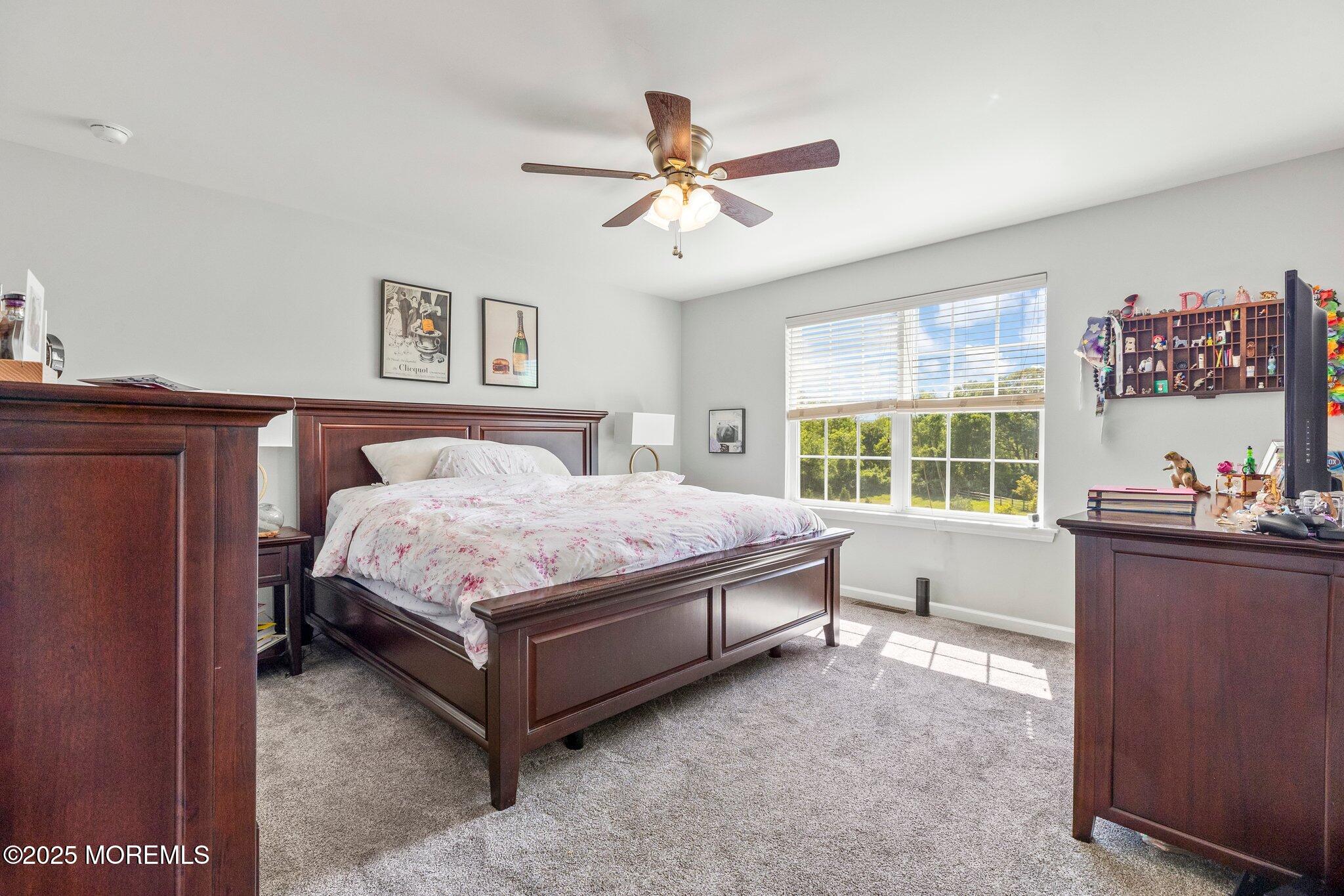 111 Warbler Way #1000, Freehold, New Jersey image 13