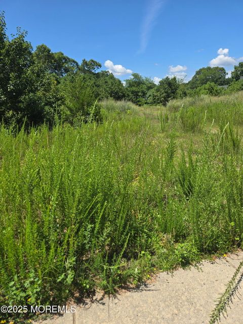Vacant Land For Sale - 159 Littleworth Road<br/> Ocean County, Manahawkin, NJ 08050