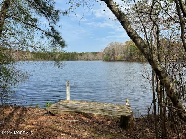 3 Lakeview Drive, Howell, New Jersey image 4