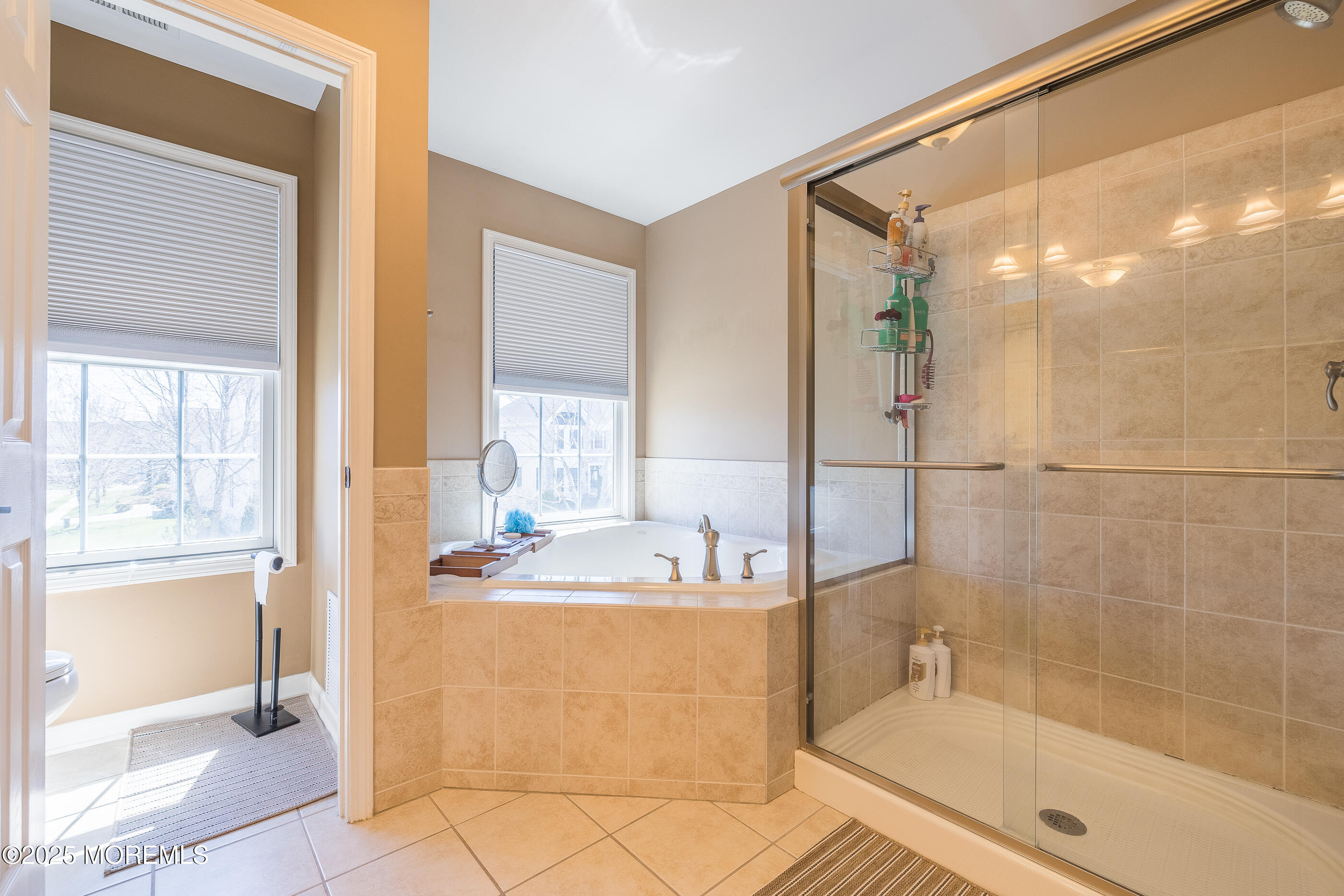 11 Elm Lane, Manalapan, New Jersey image 29