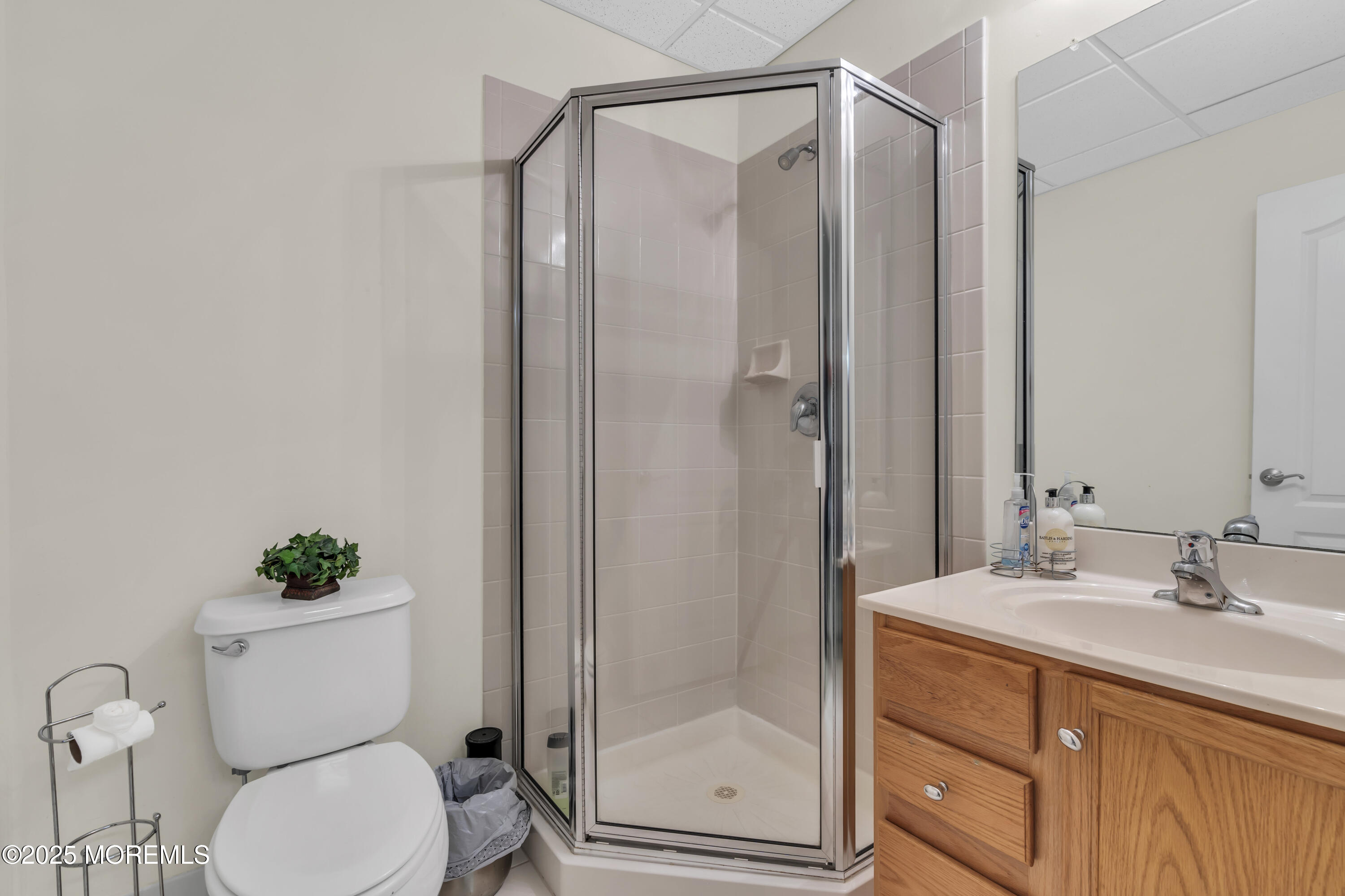 41 Hedgerow Lane, Manalapan, New Jersey image 48
