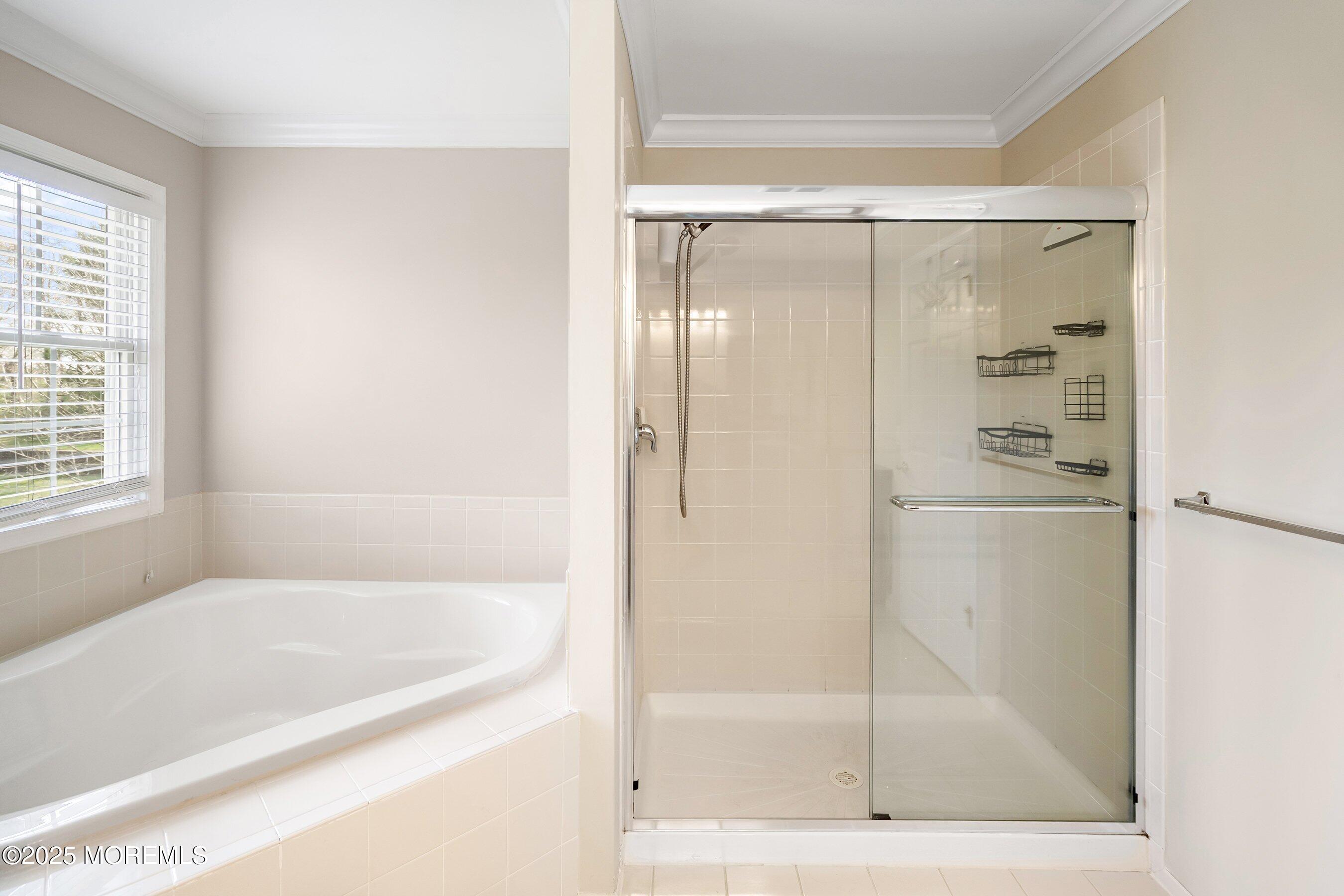 117 Whitlock Court, Manalapan, New Jersey image 18