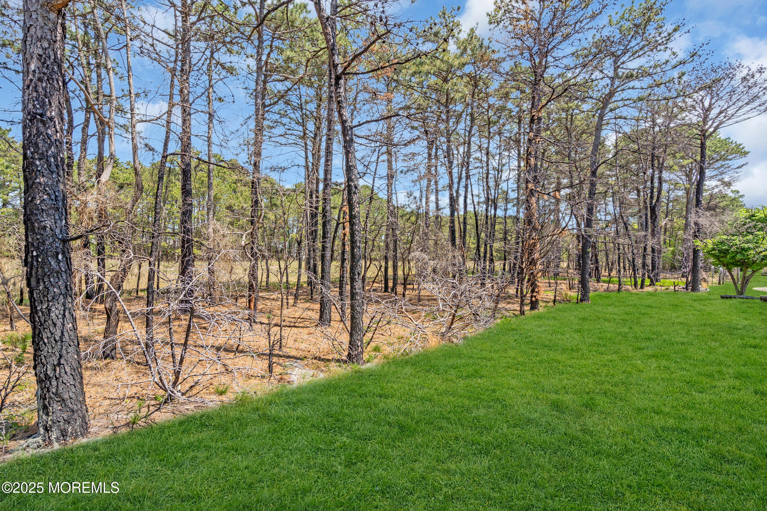 235 Prince Charles Court, Toms River, New Jersey image 41