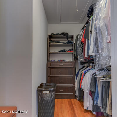 513 Mercer Avenue, Spring Lake, New Jersey image 39