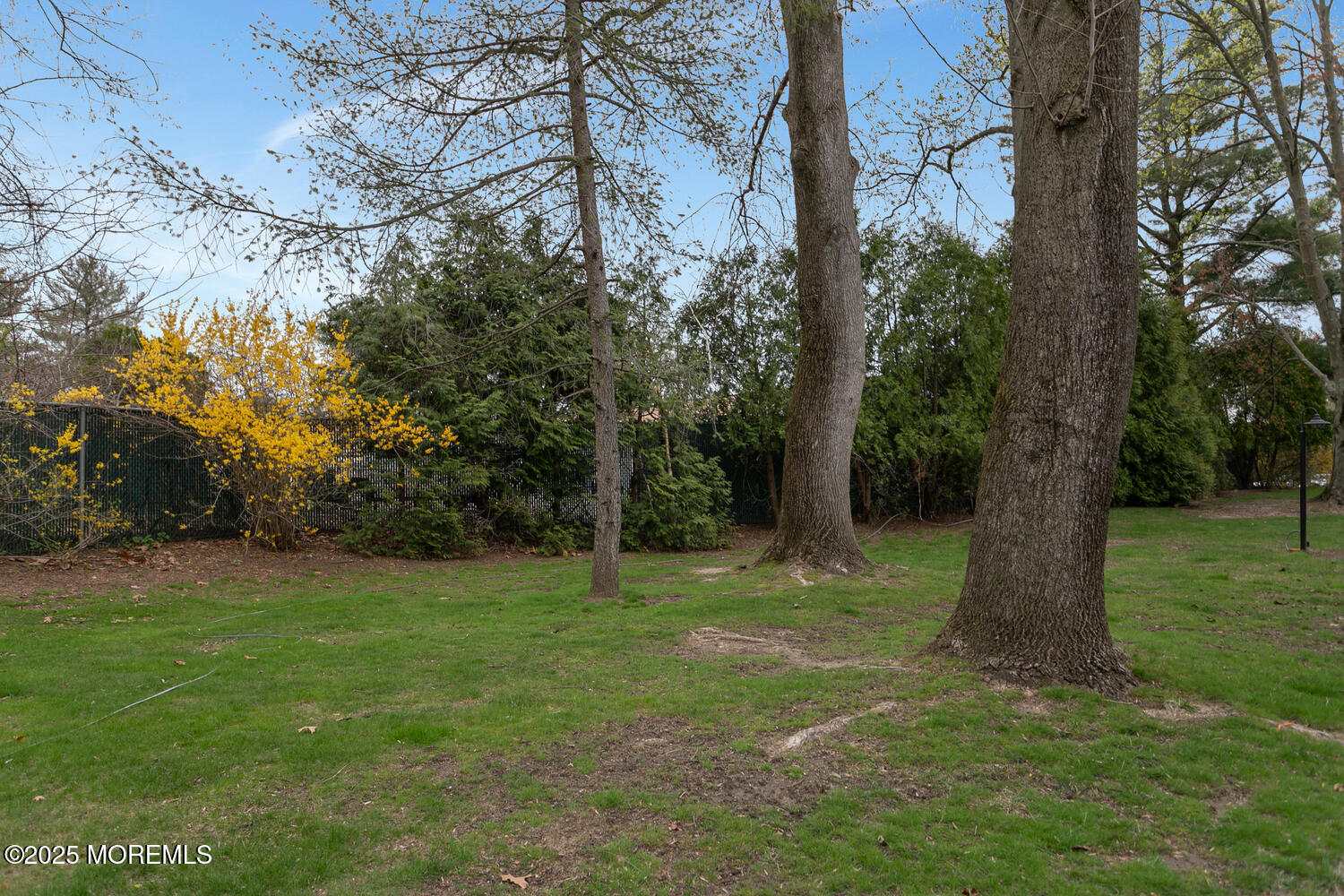 148 Lexington Court, Red Bank, New Jersey image 32