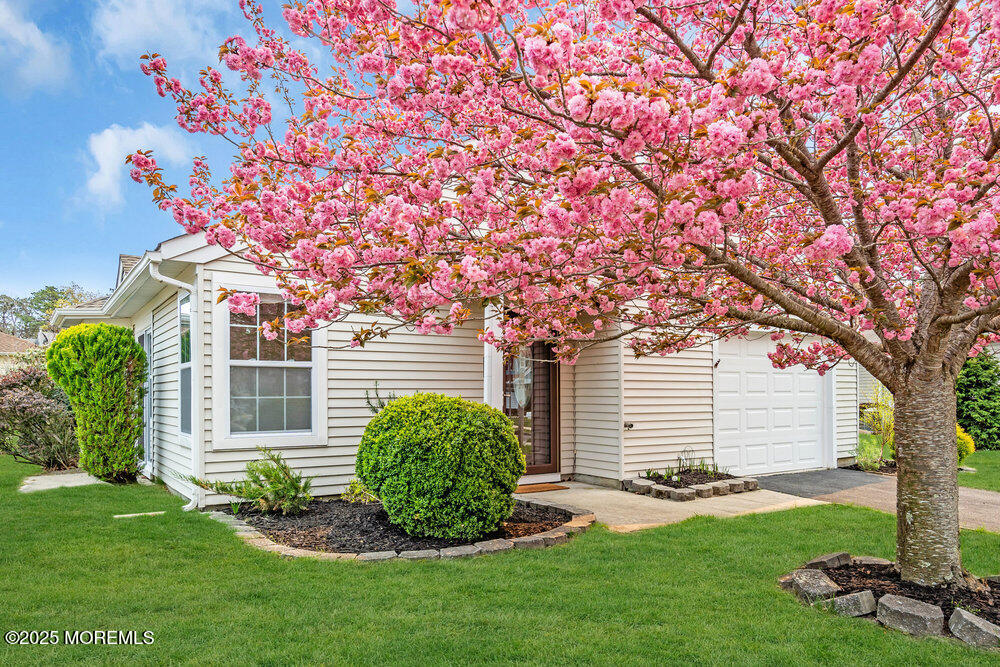7 Tamarack Court, Barnegat, New Jersey image 3