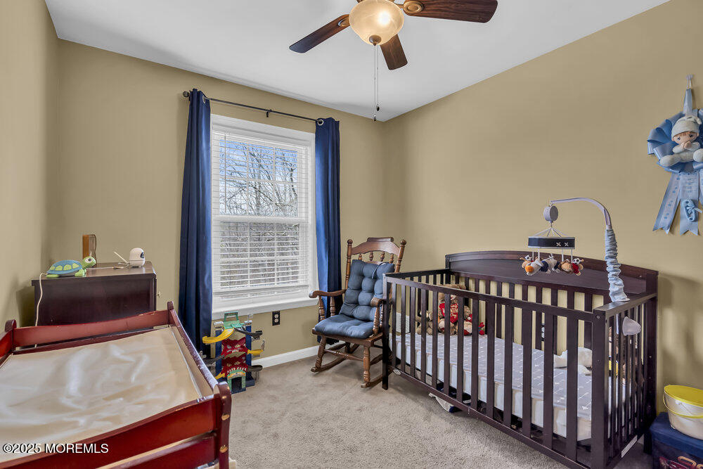 209 Begonia Court, Jackson, New Jersey image 16