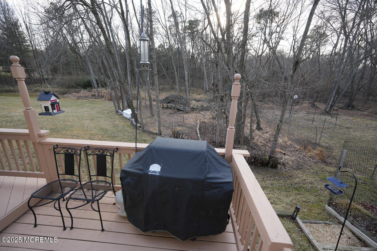 10 Enclosure Drive, Morganville, New Jersey image 28