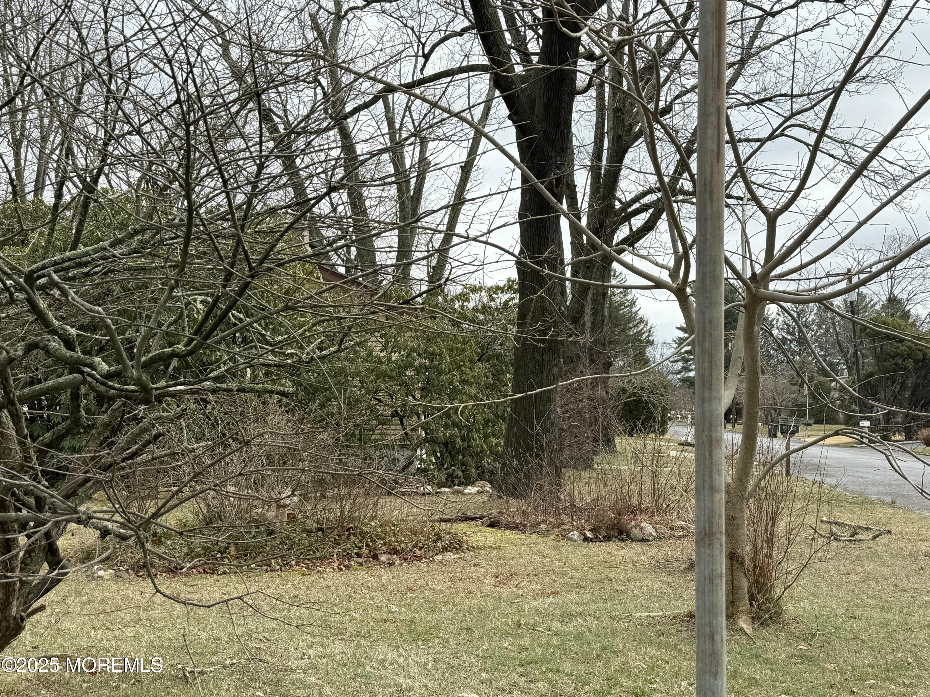 3118 Arthur Street, Wall, New Jersey image 2