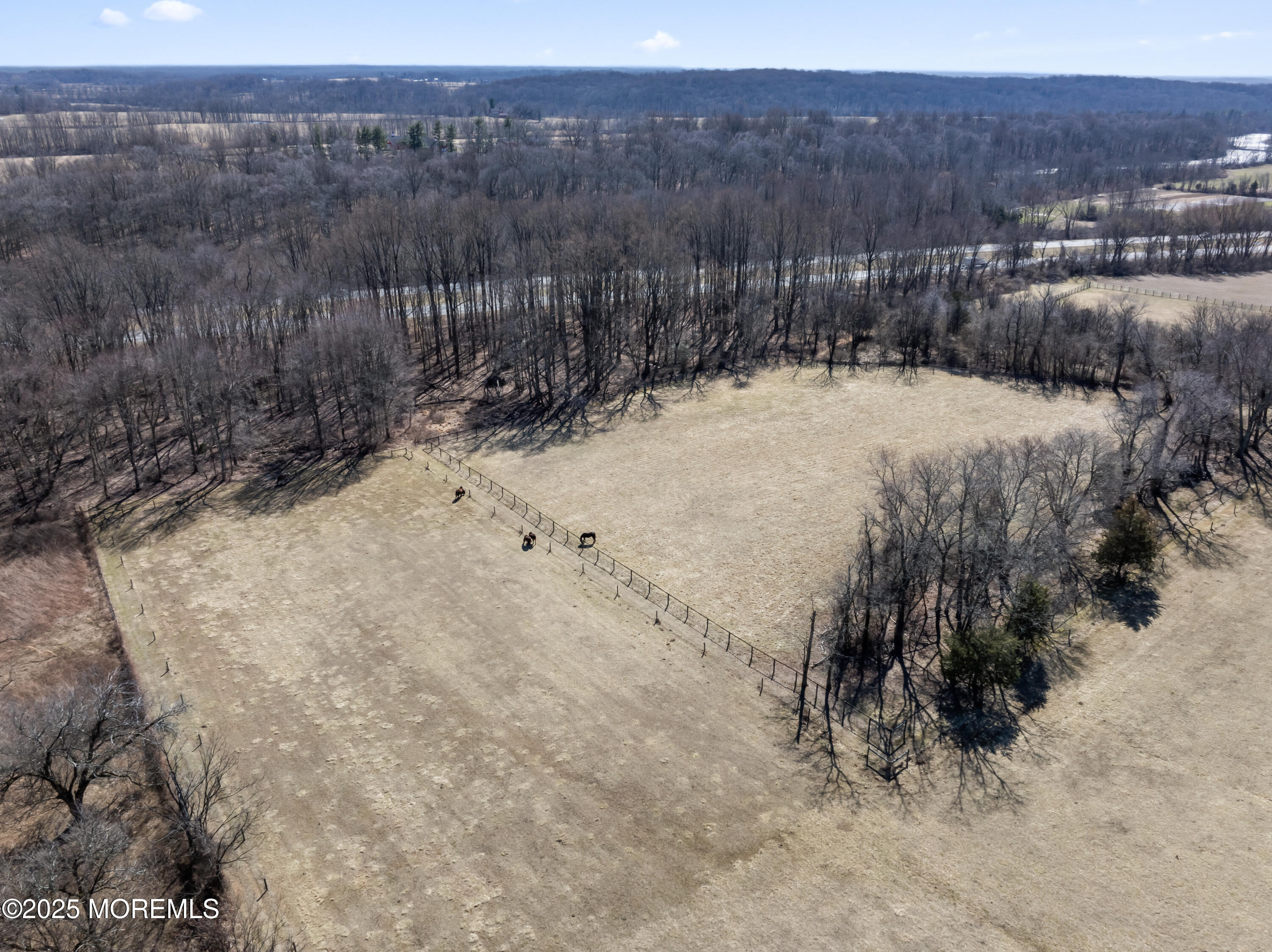 35 Rues Road, Cream Ridge, New Jersey image 16