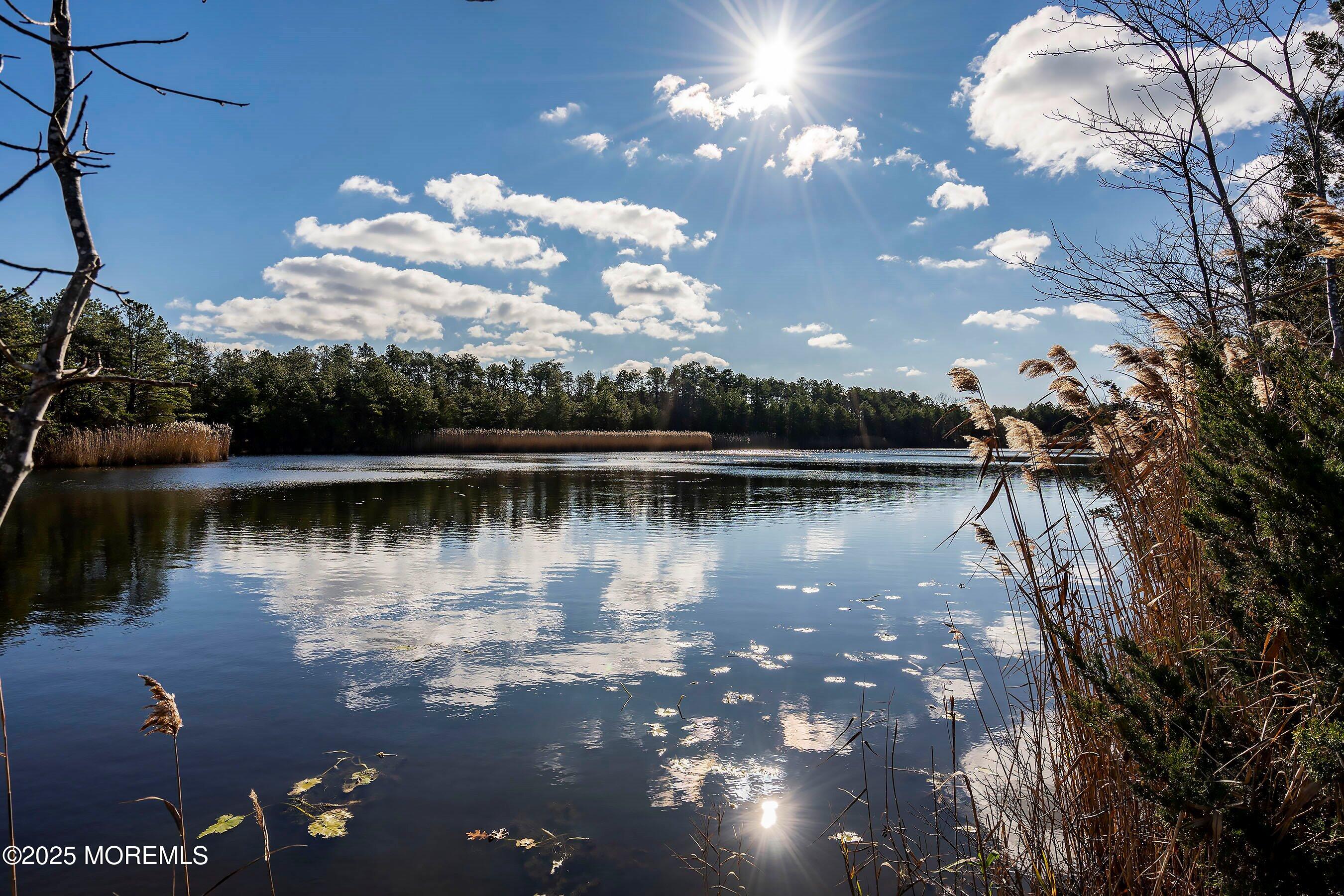 39 Fir Road, Manahawkin, New Jersey image 46